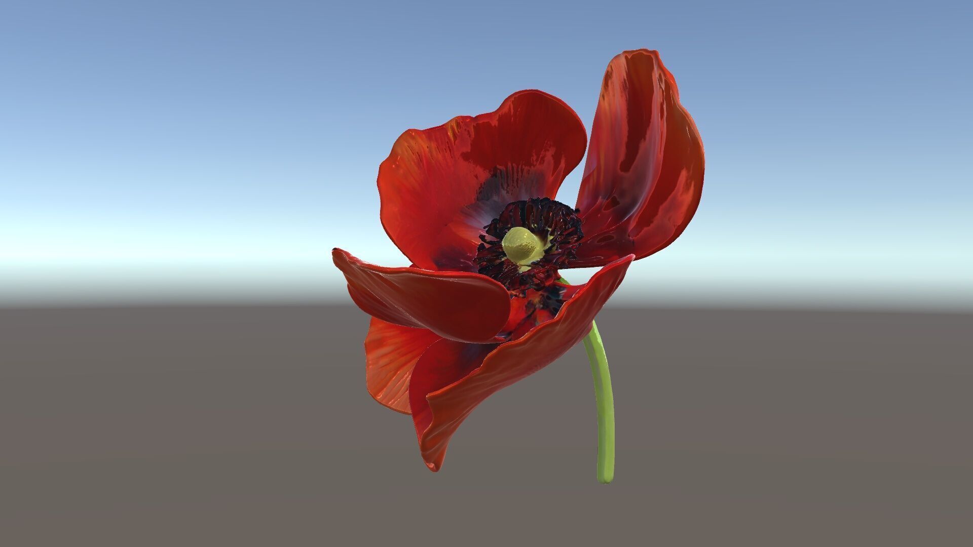 Poppy Flower D Model Pack Low-poly 3D model_5