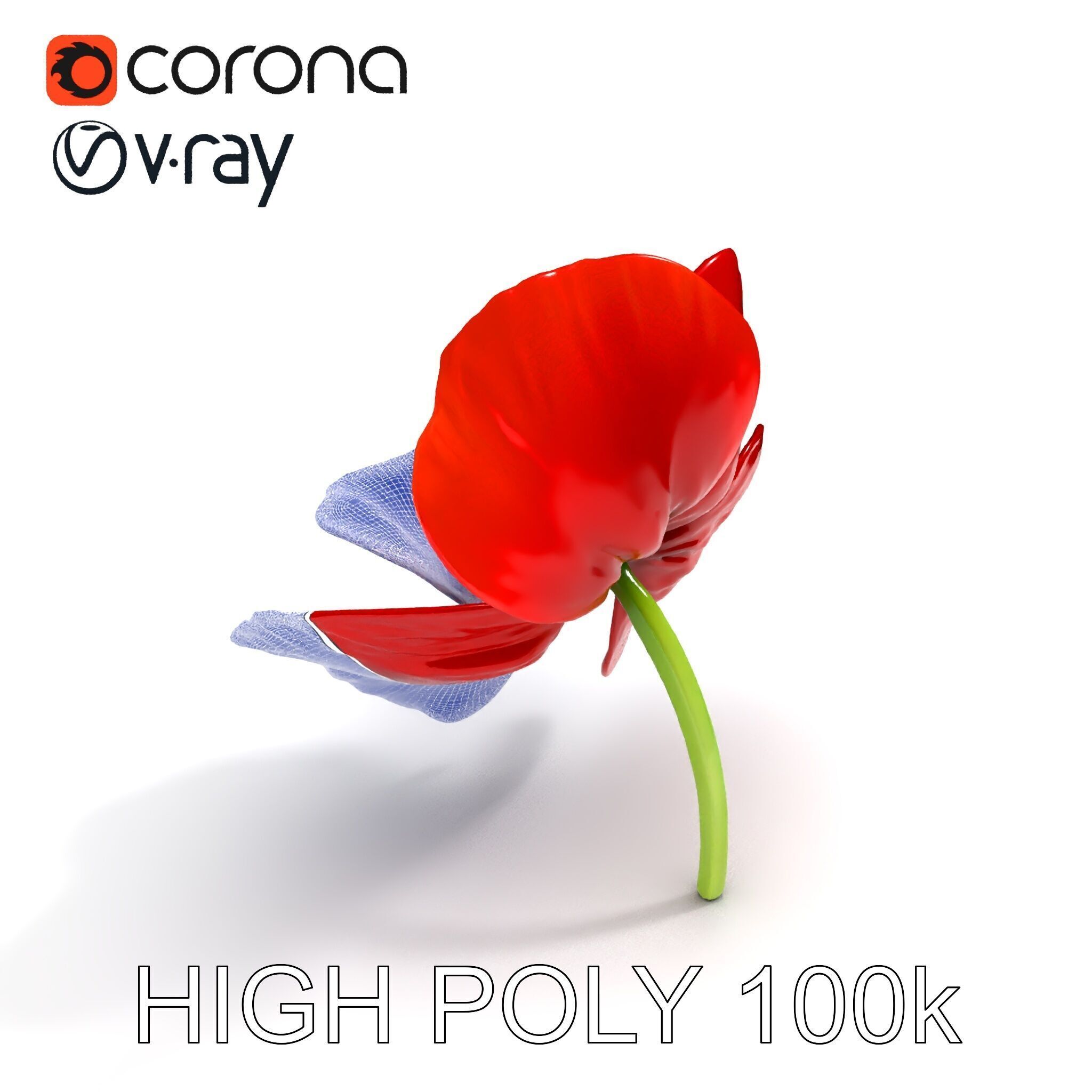 Poppy Flower D Model Pack Low-poly 3D model_13