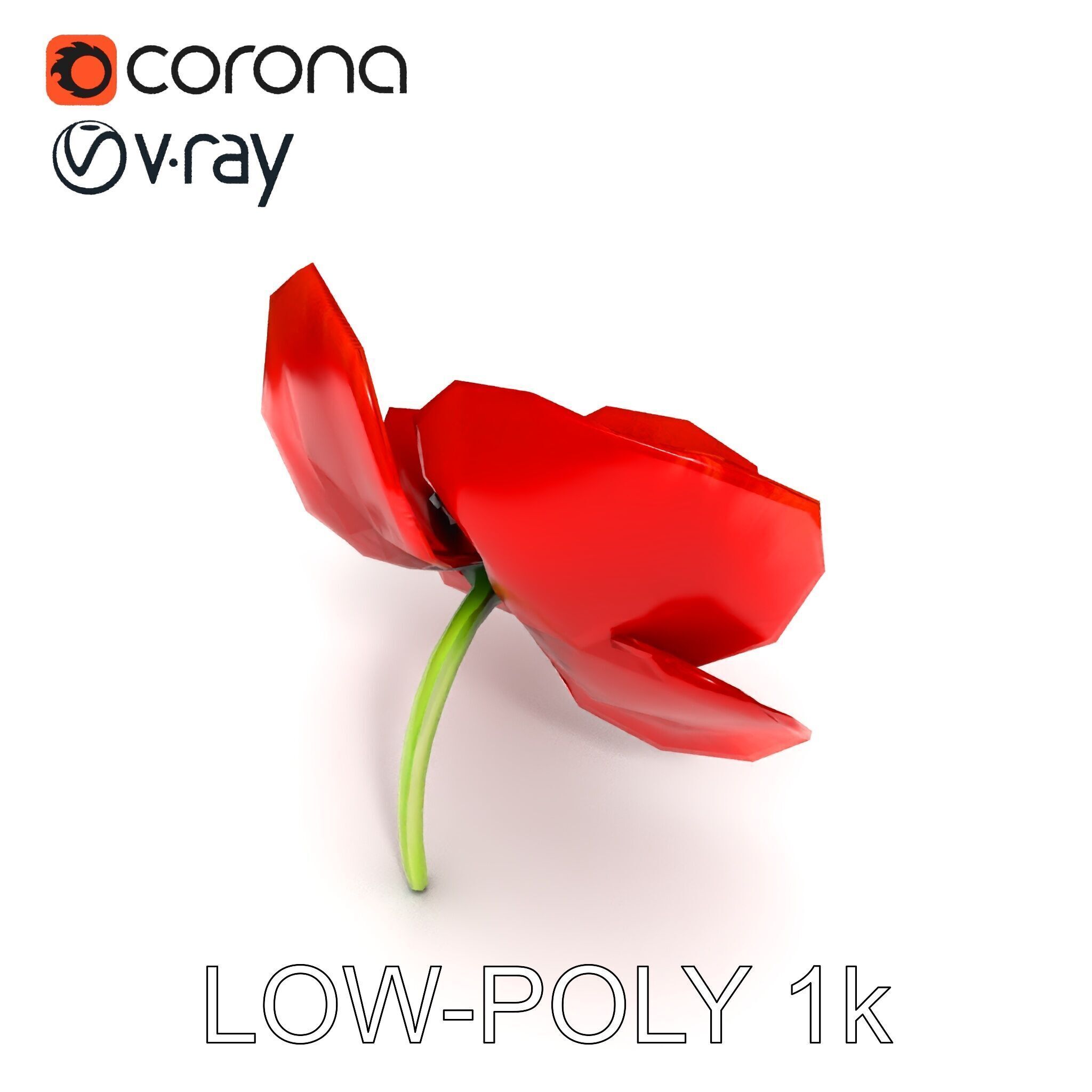 Poppy Flower D Model Pack Low-poly 3D model_17