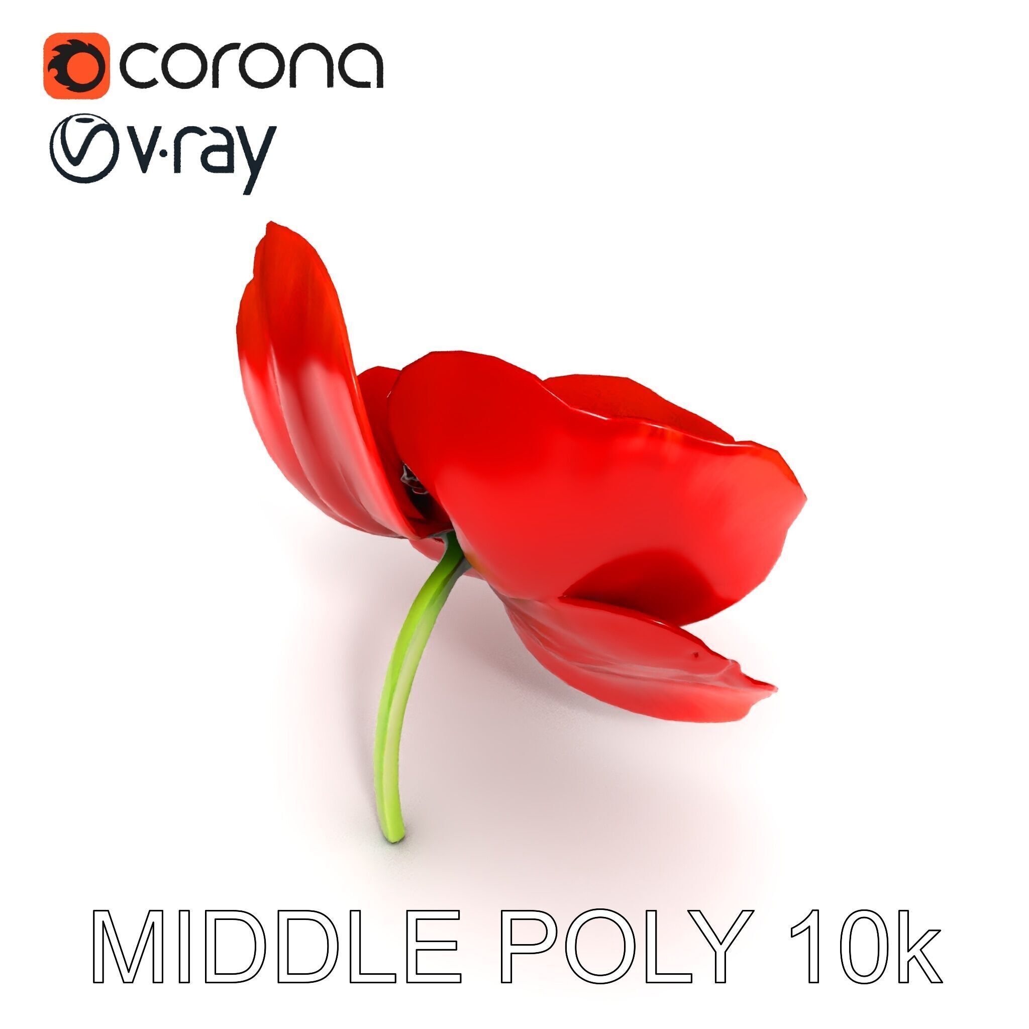 Poppy Flower D Model Pack Low-poly 3D model_8