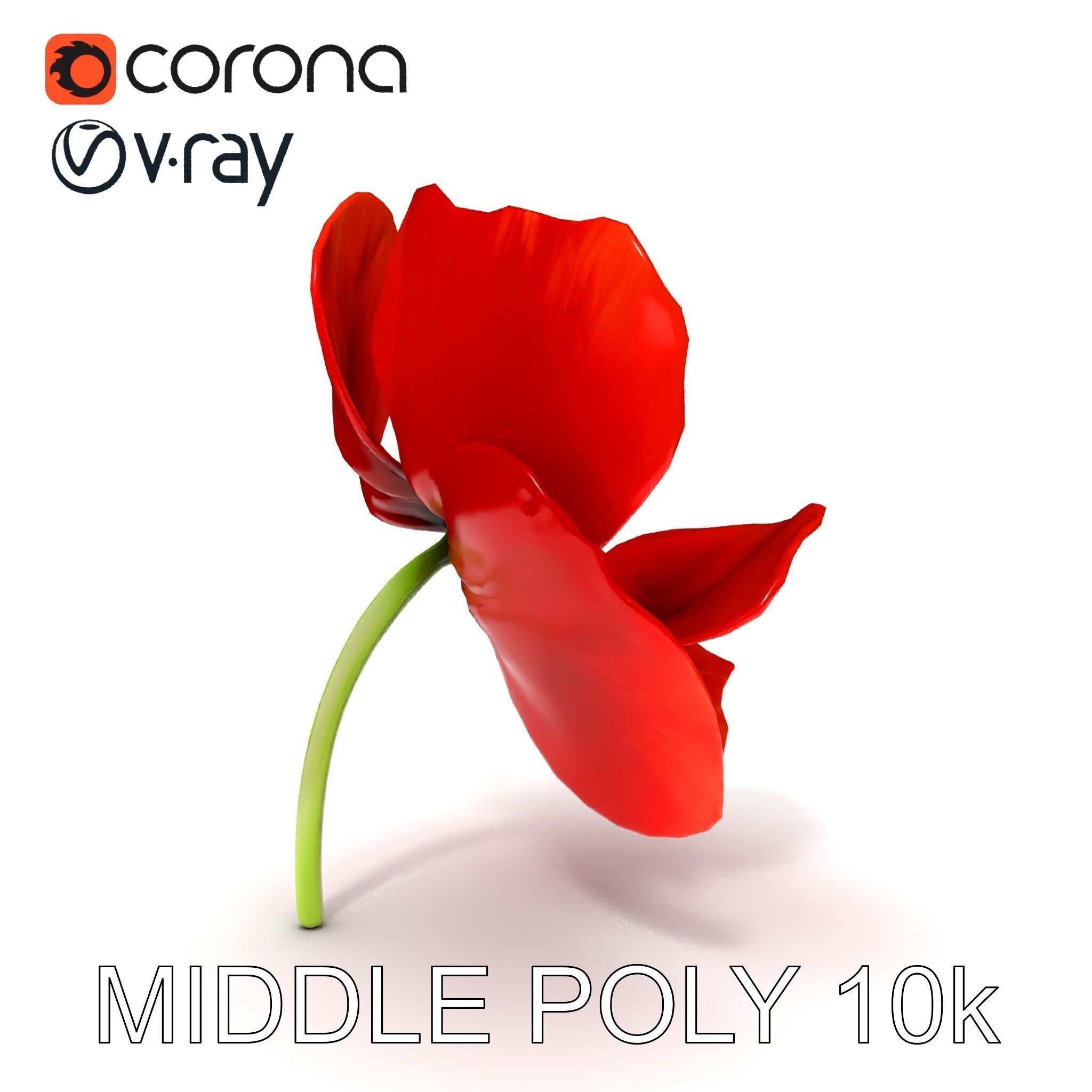 Poppy Flower D Model Pack Low-poly 3D model_6