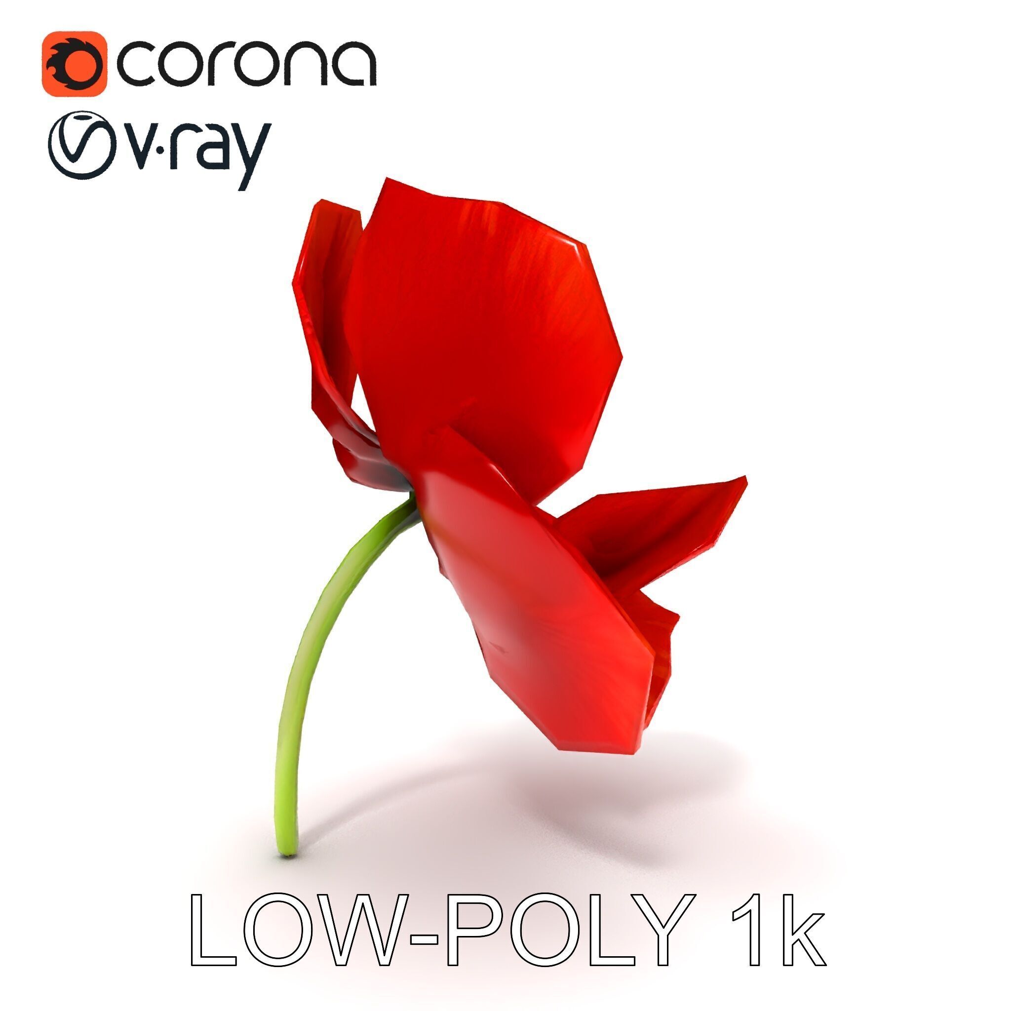 Poppy Flower D Model Pack Low-poly 3D model_34