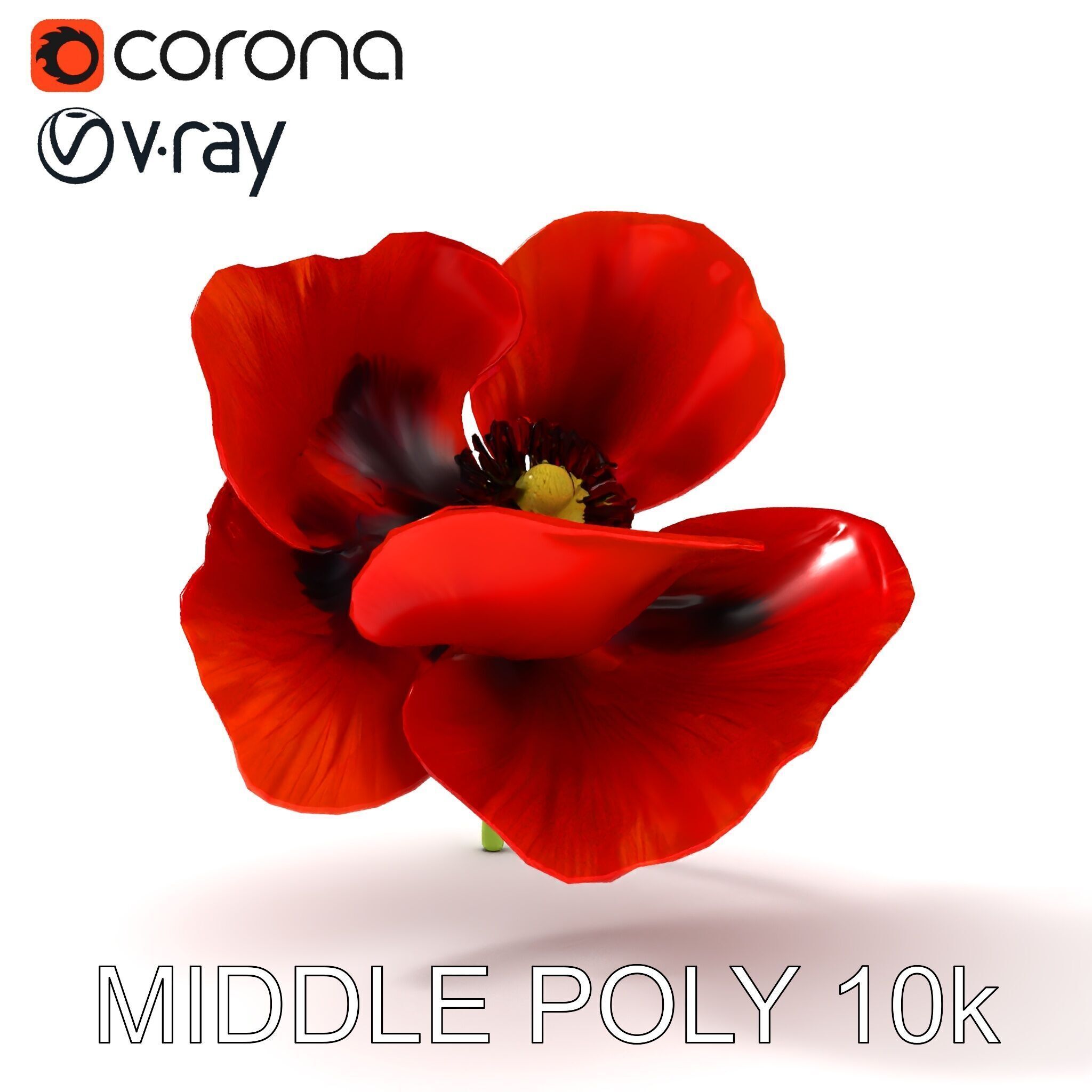 Poppy Flower D Model Pack Low-poly 3D model_33