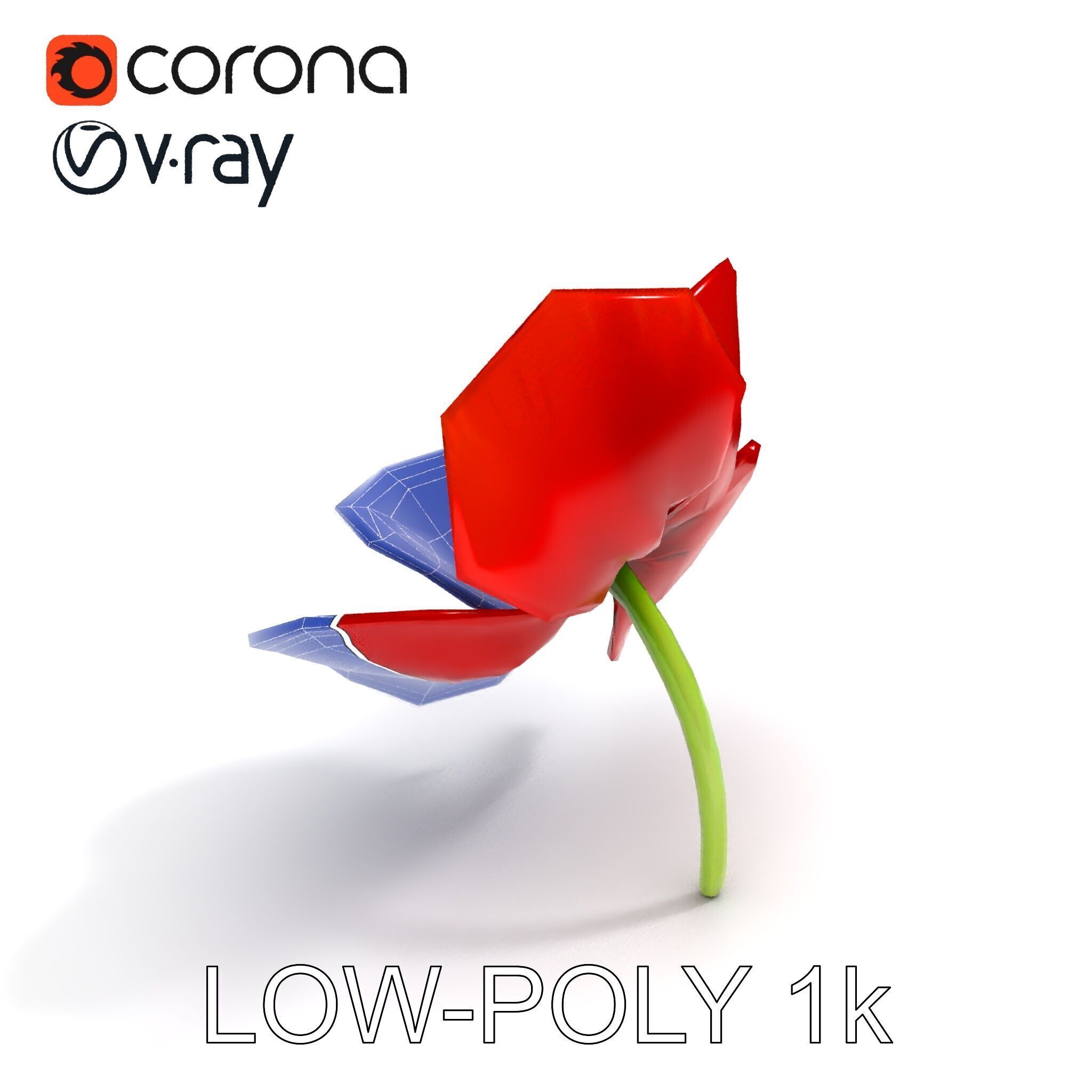 Poppy Flower D Model Pack Low-poly 3D model_20
