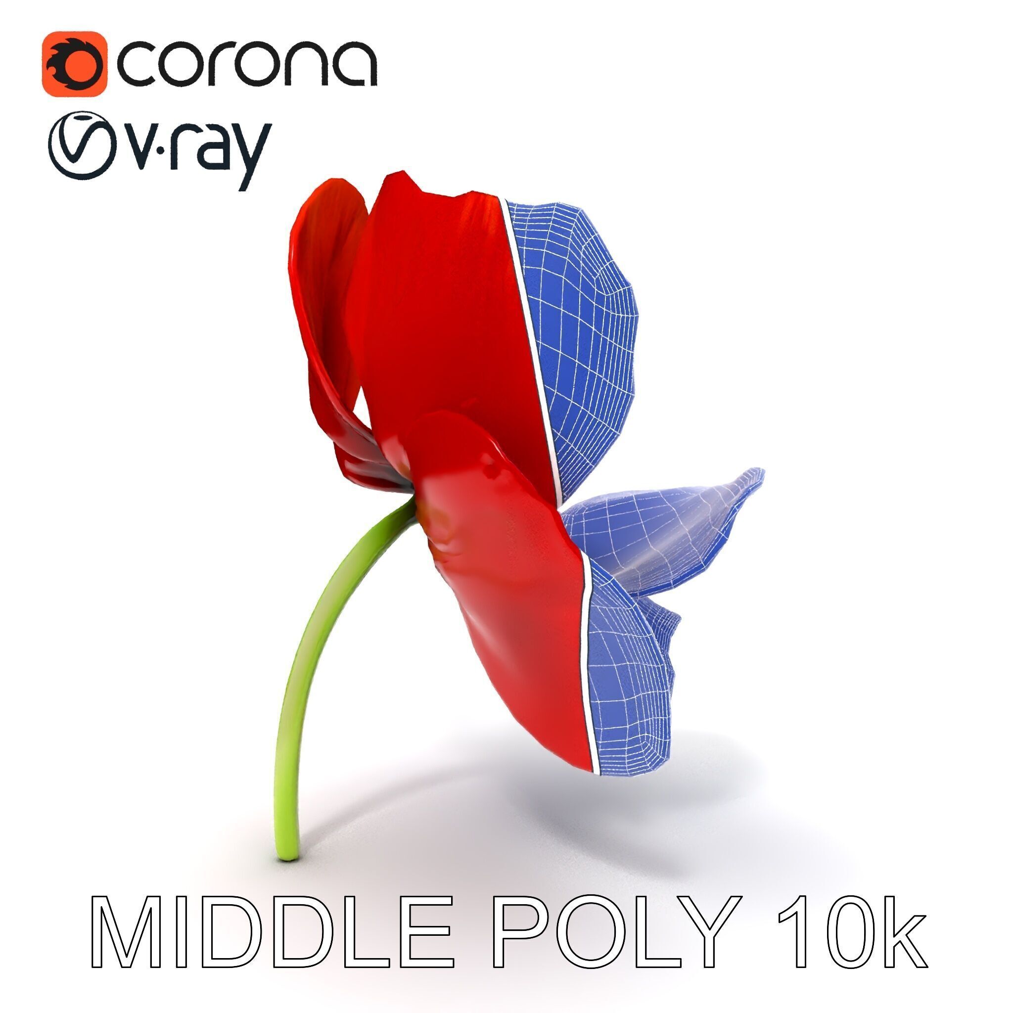 Poppy Flower D Model Pack Low-poly 3D model_27