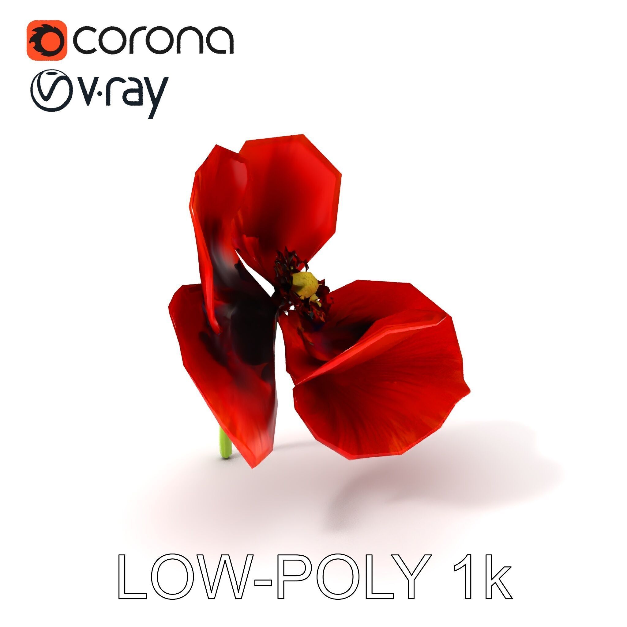 Poppy Flower D Model Pack Low-poly 3D model_9
