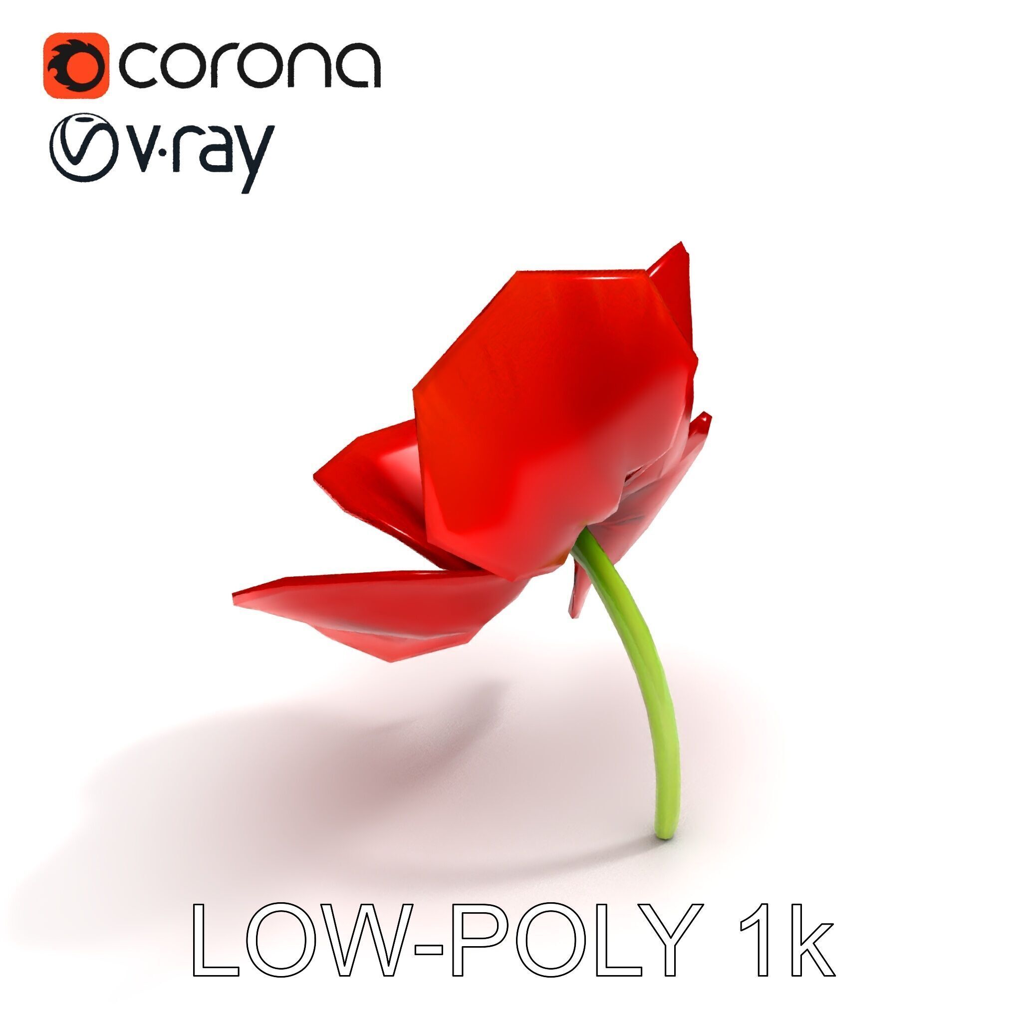 Poppy Flower D Model Pack Low-poly 3D model_28