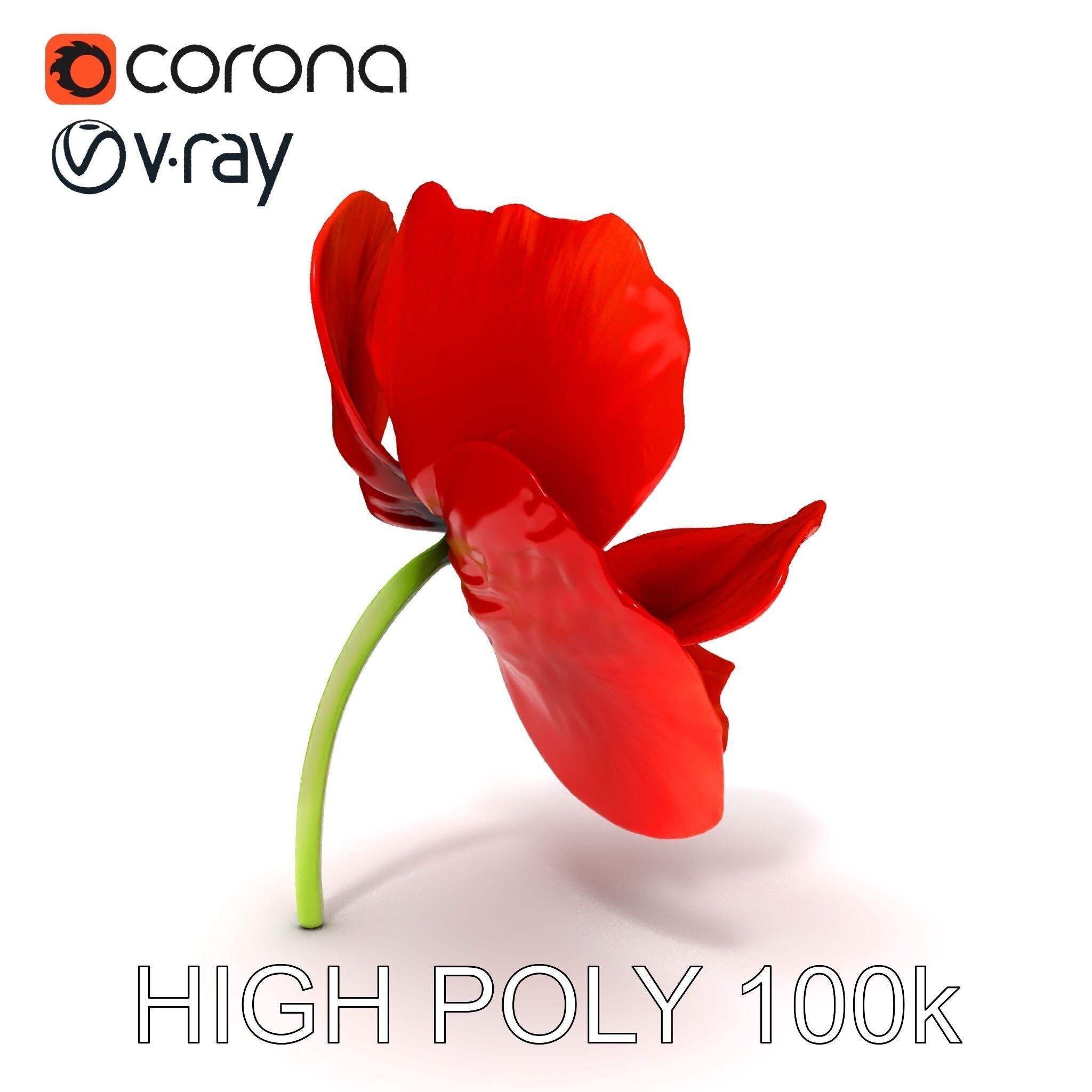 Poppy Flower D Model Pack Low-poly 3D model_18