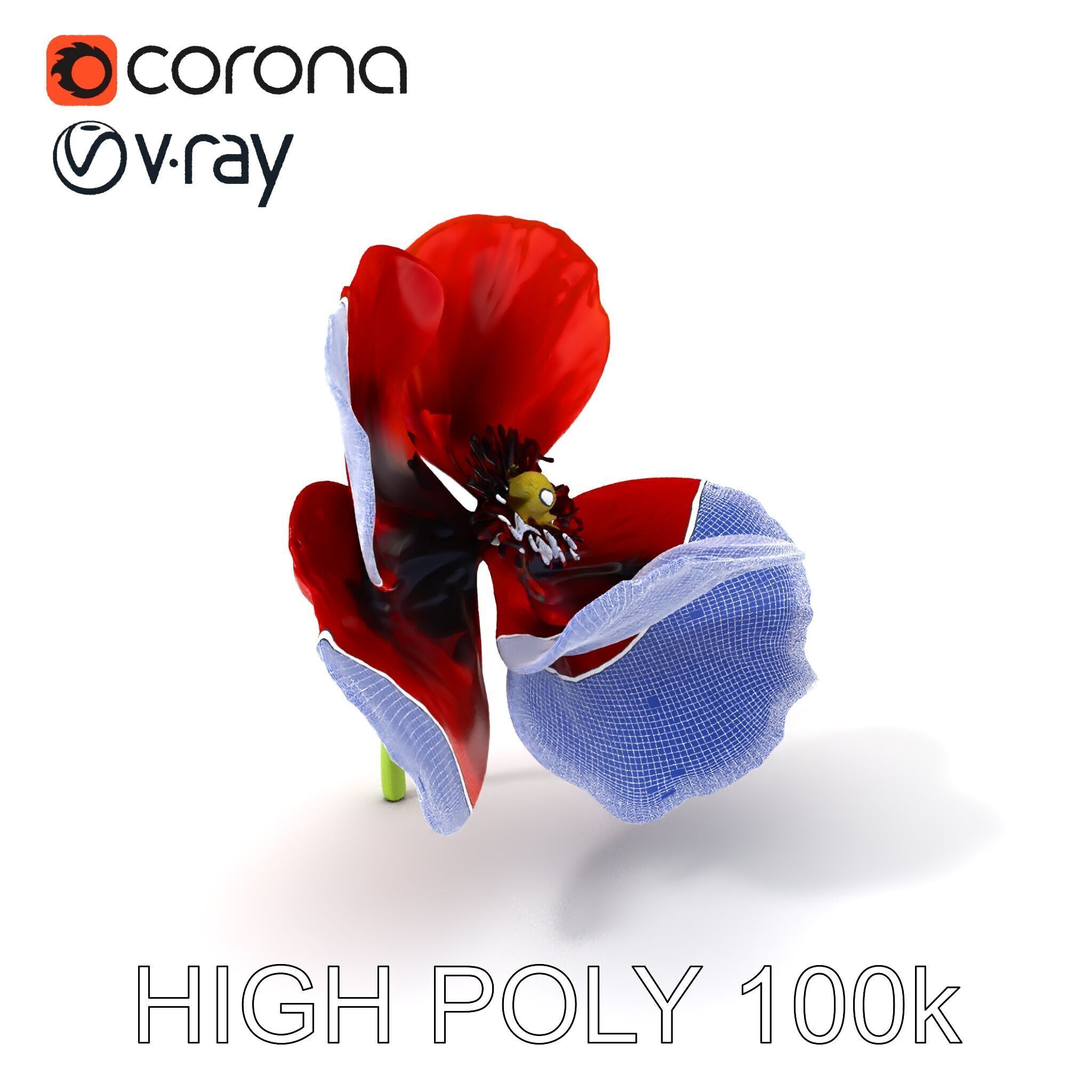Poppy Flower D Model Pack Low-poly 3D model_4