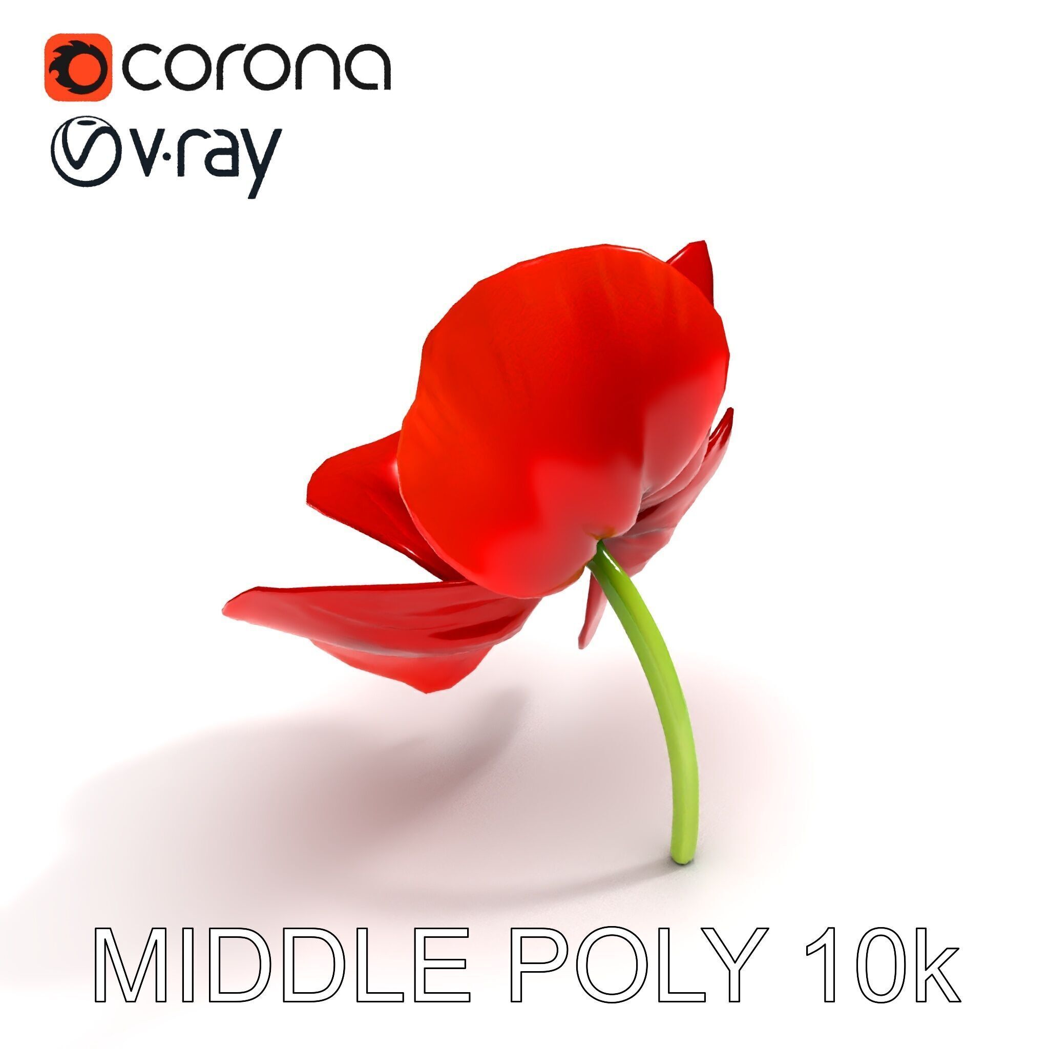Poppy Flower D Model Pack Low-poly 3D model_19