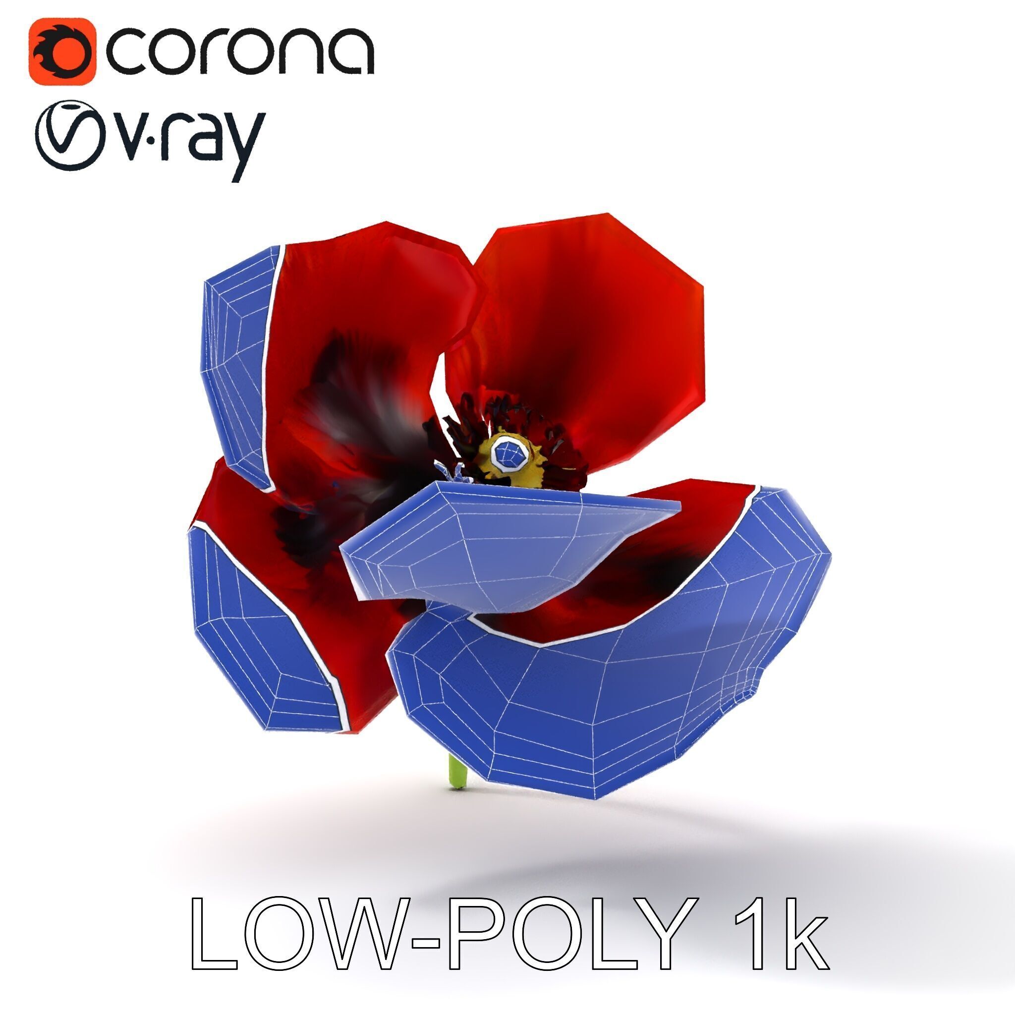 Poppy Flower D Model Pack Low-poly 3D model_12