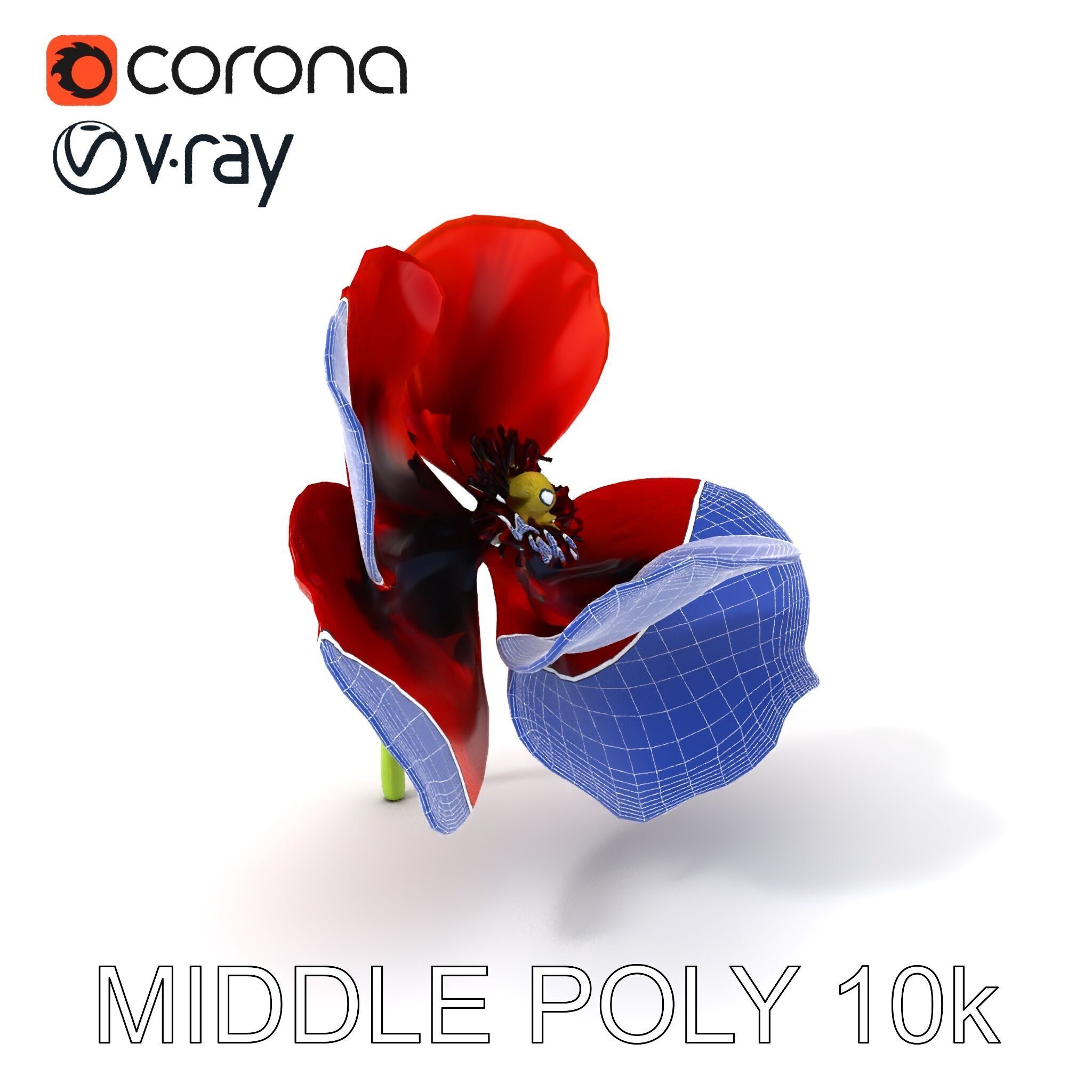 Poppy Flower D Model Pack Low-poly 3D model_30