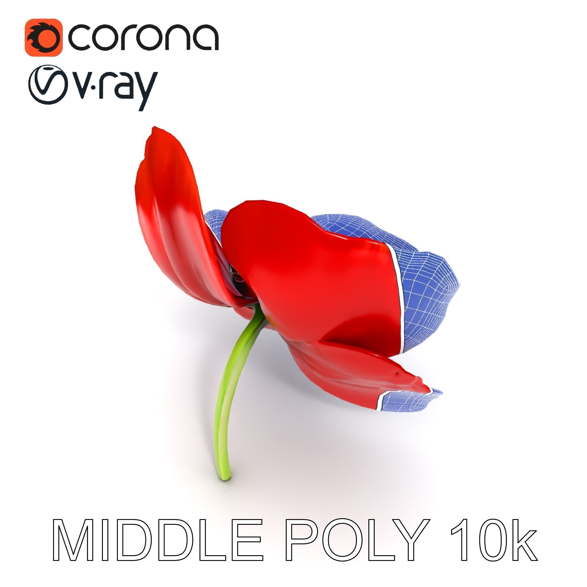 Poppy Flower D Model Pack Low-poly 3D model_14