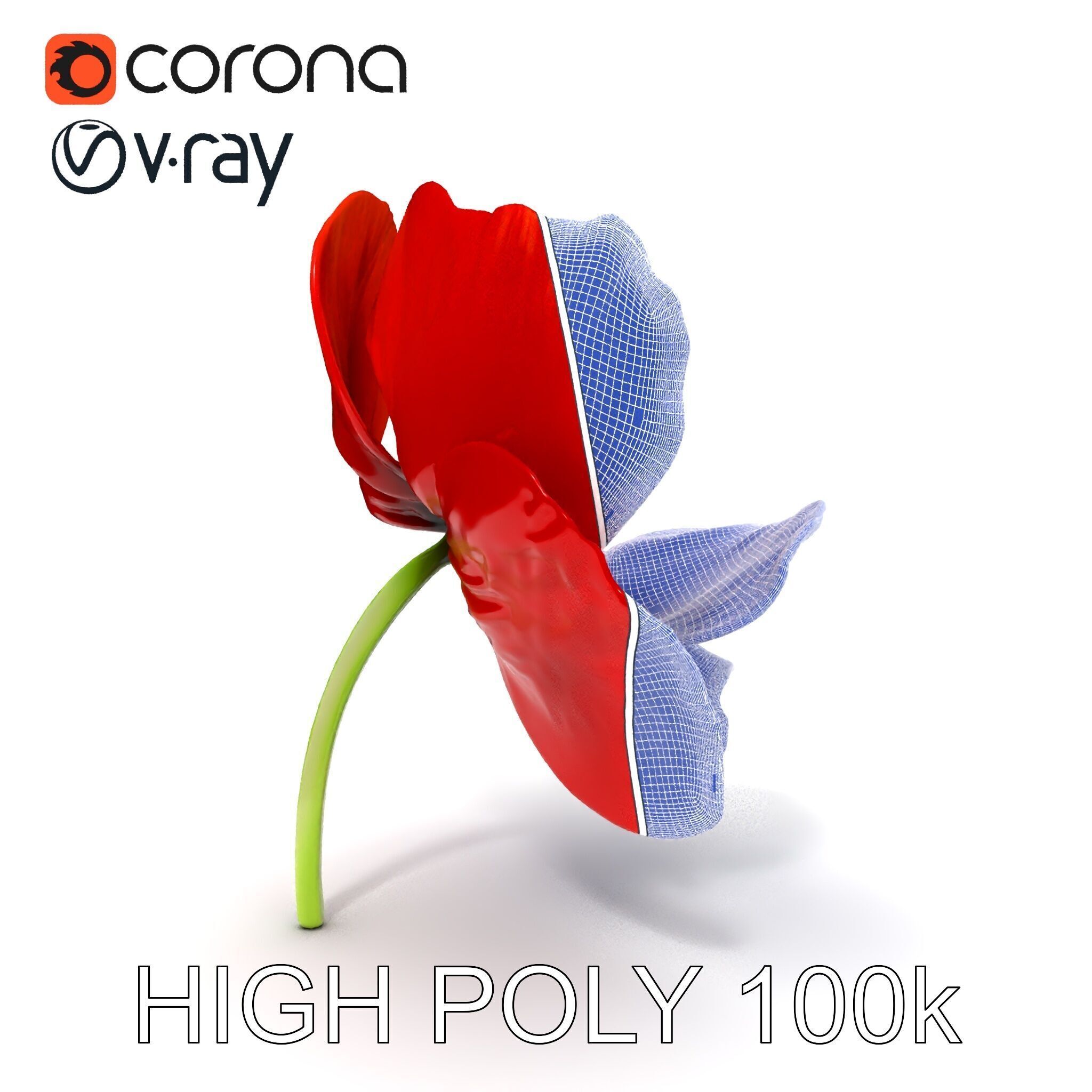 Poppy Flower D Model Pack Low-poly 3D model_32