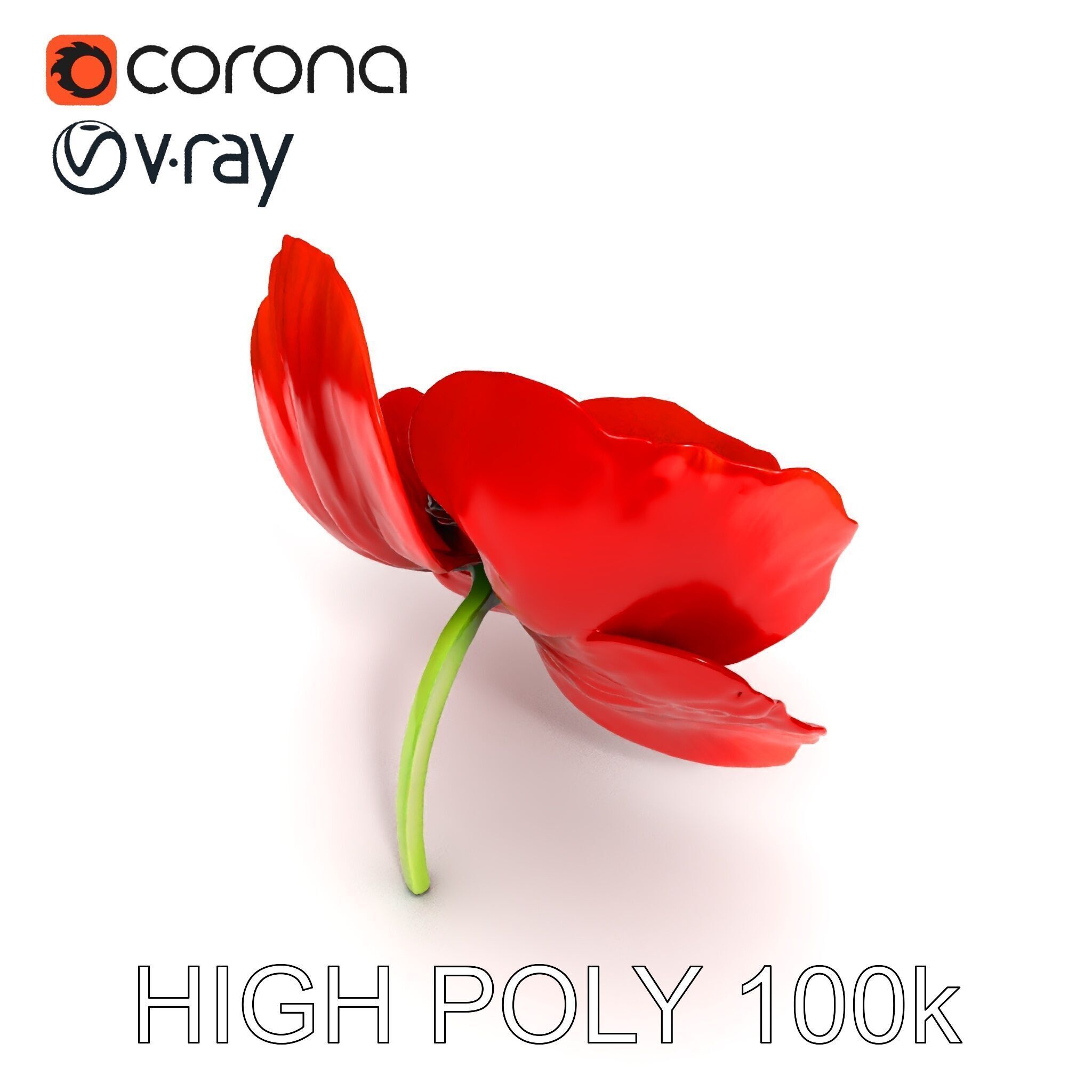 Poppy Flower D Model Pack Low-poly 3D model_35