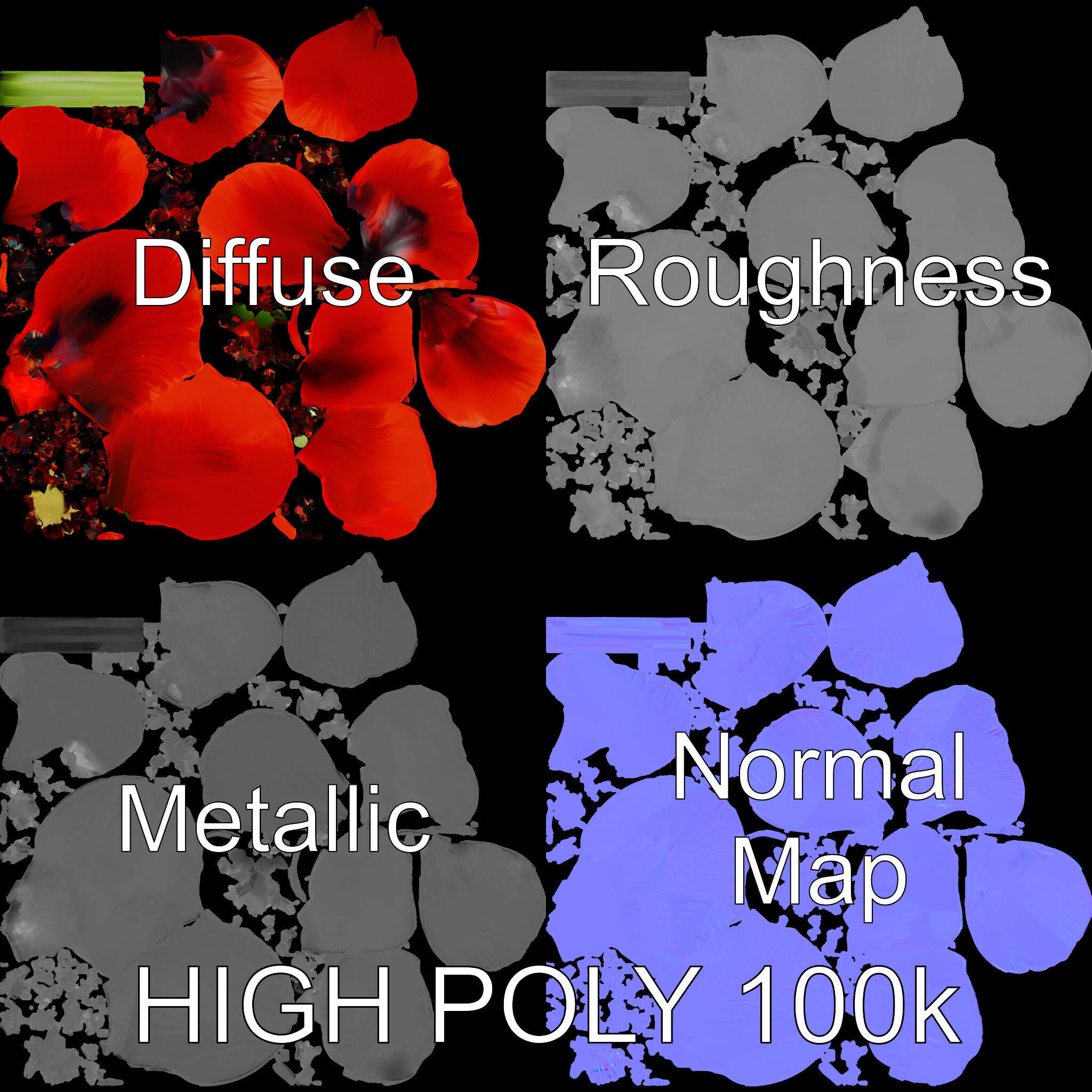 Poppy Flower D Model Pack Low-poly 3D model_2