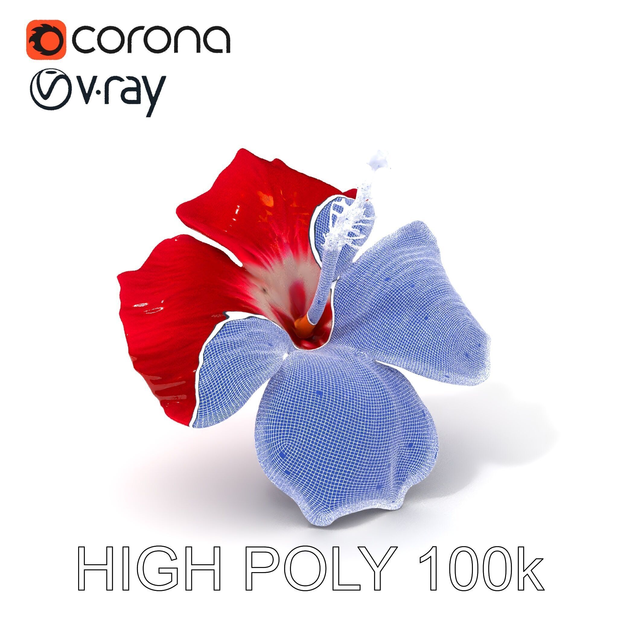 Realistic Hibiscus Flower D Model Pack Low-poly 3D model_4