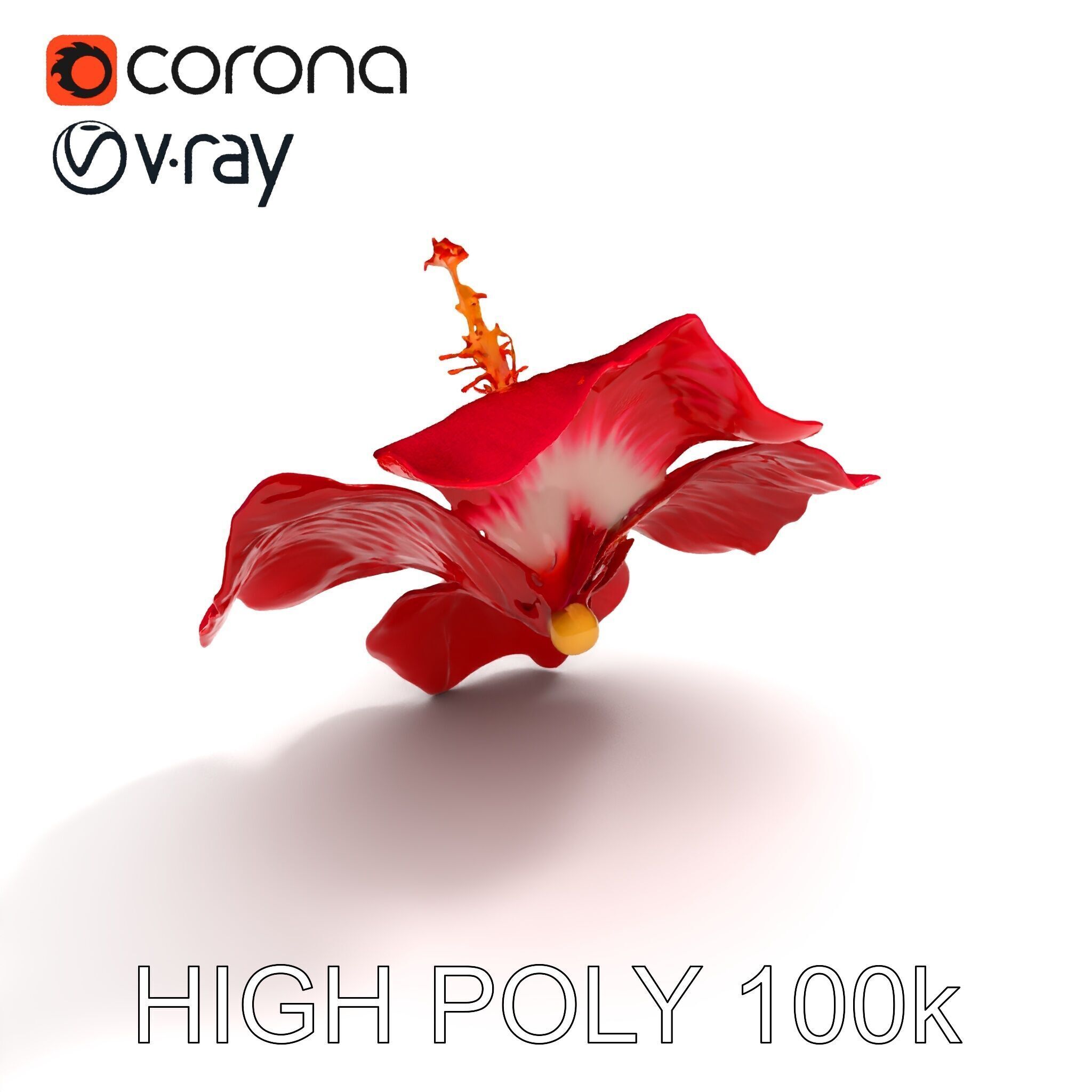 Realistic Hibiscus Flower D Model Pack Low-poly 3D model_16