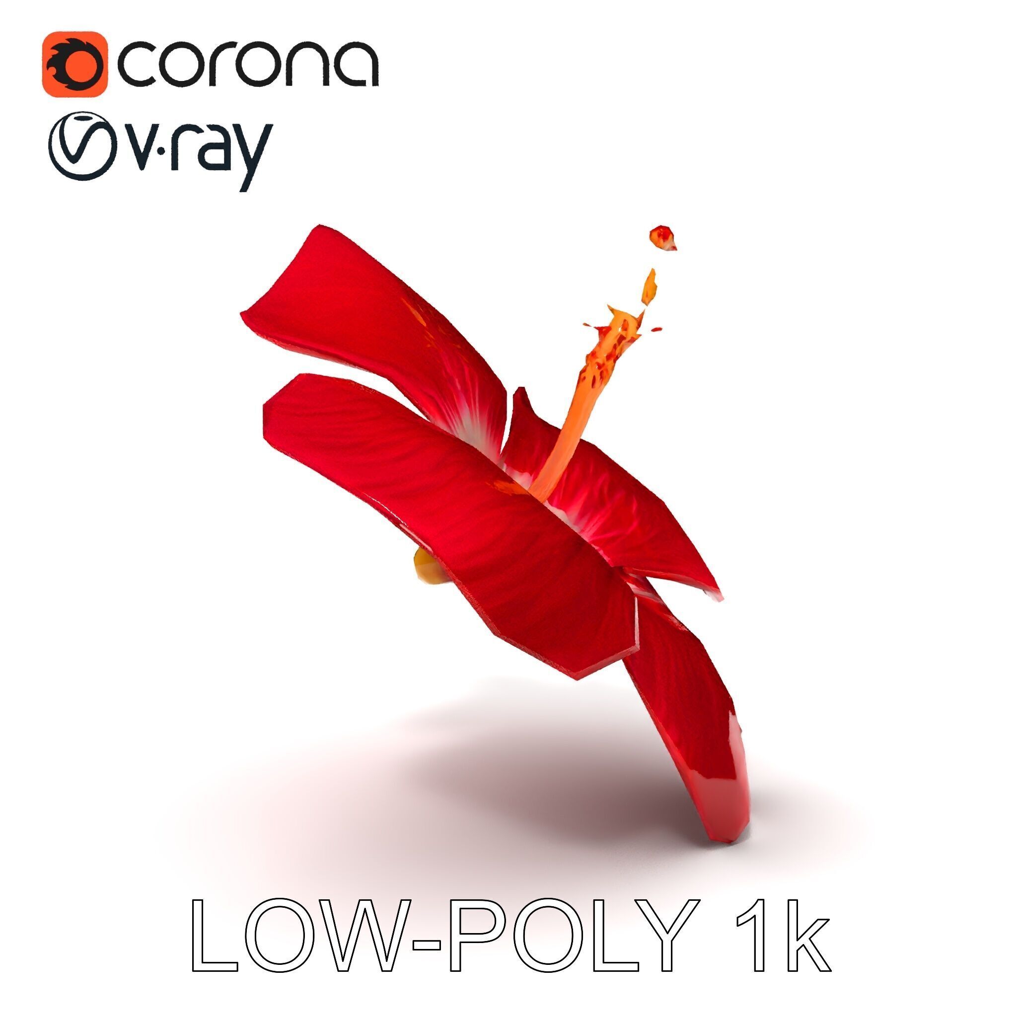 Realistic Hibiscus Flower D Model Pack Low-poly 3D model_31