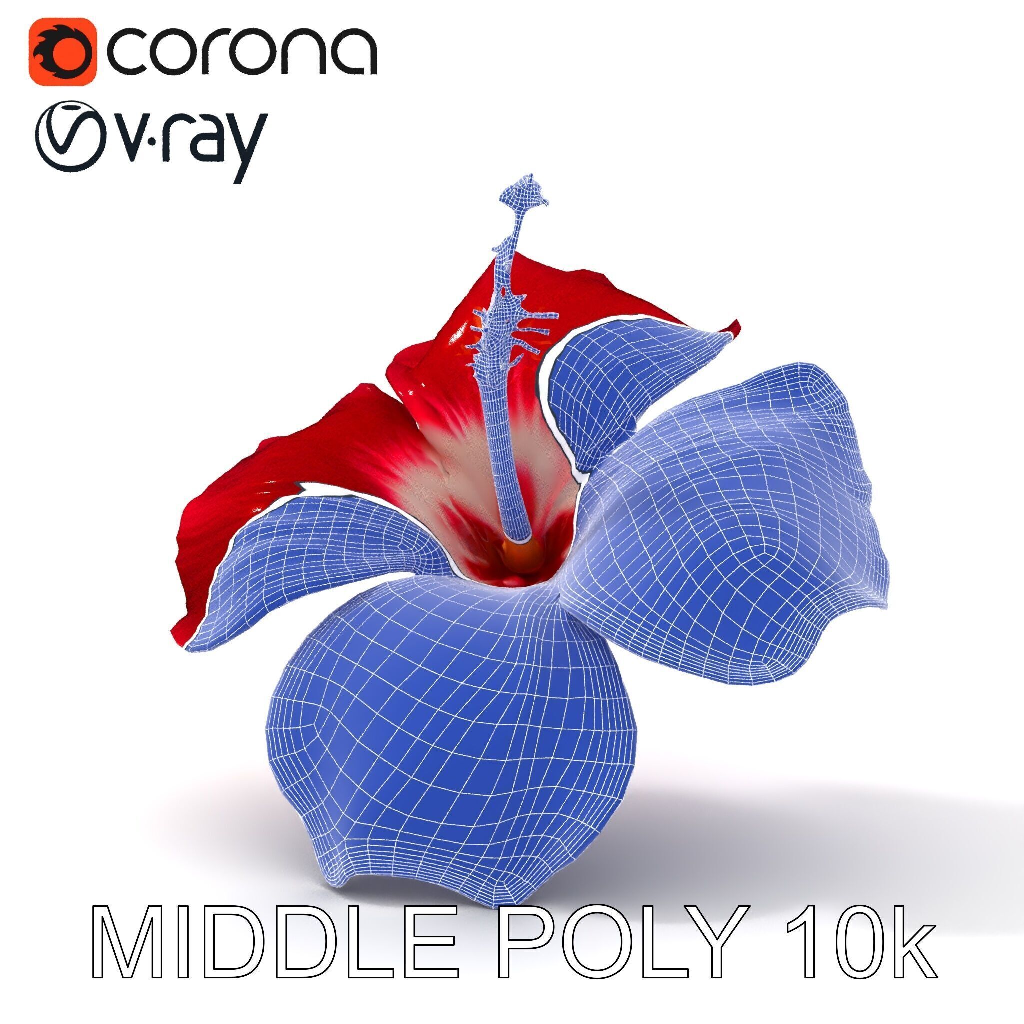 Realistic Hibiscus Flower D Model Pack Low-poly 3D model_24