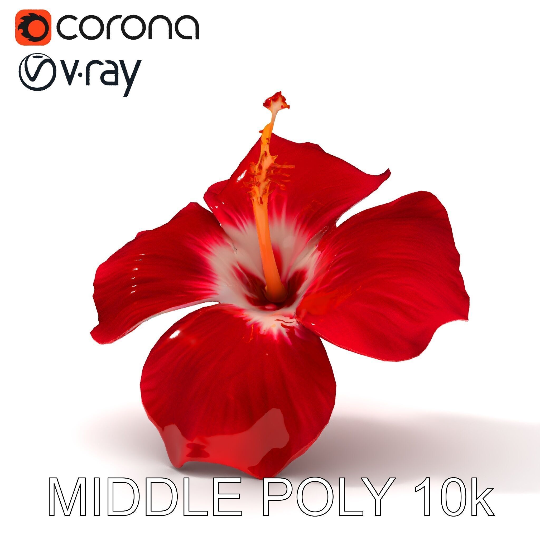 Realistic Hibiscus Flower D Model Pack Low-poly 3D model_6