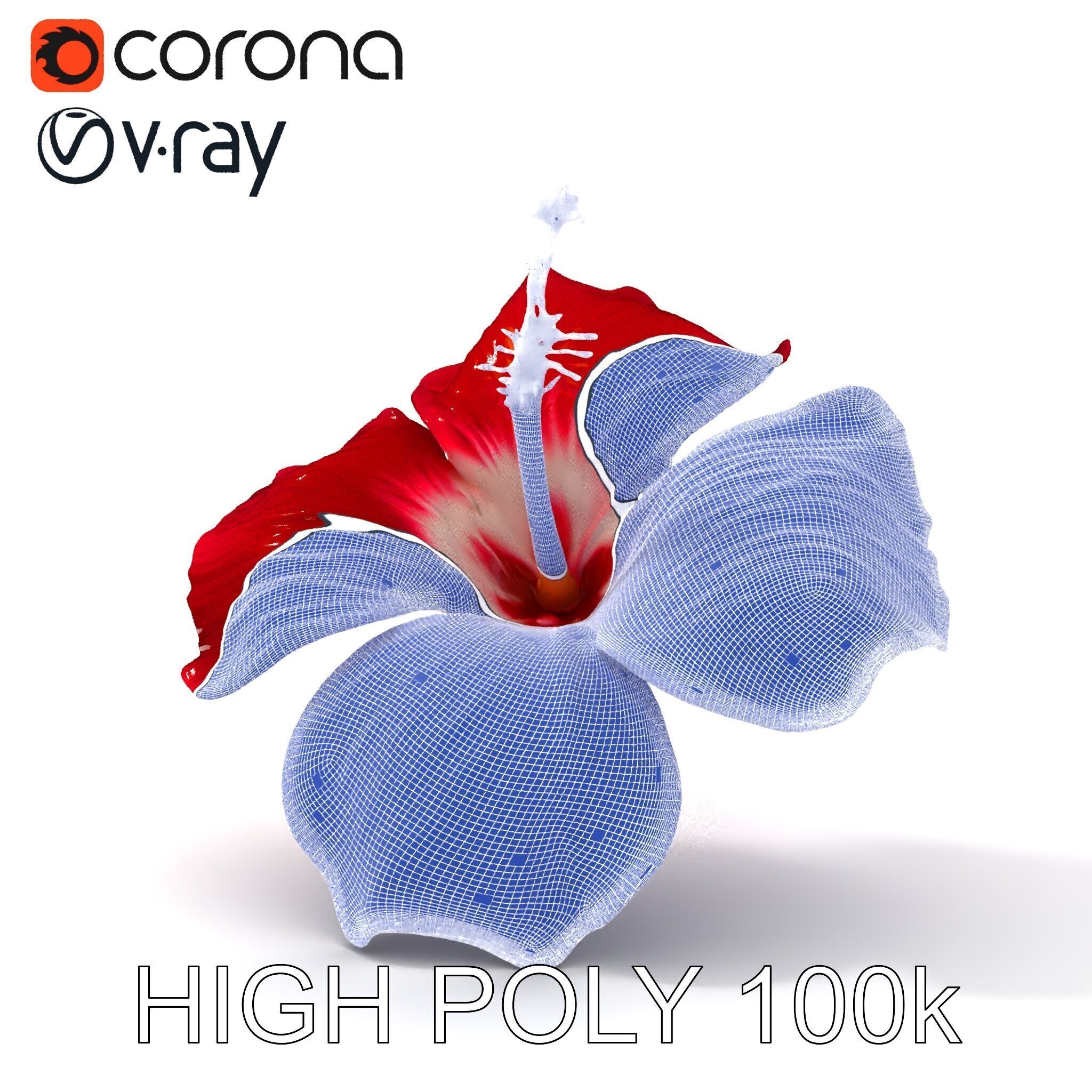 Realistic Hibiscus Flower D Model Pack Low-poly 3D model_13