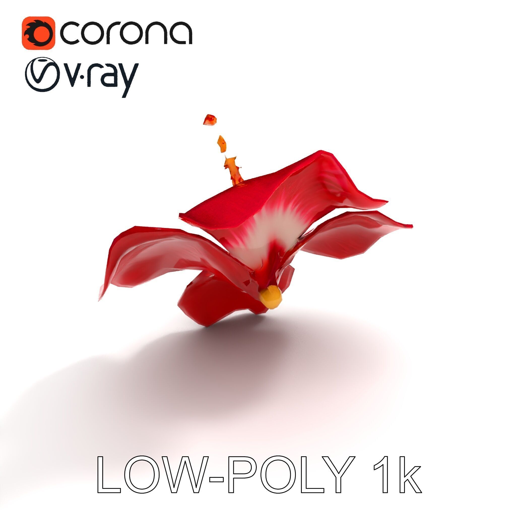 Realistic Hibiscus Flower D Model Pack Low-poly 3D model_28