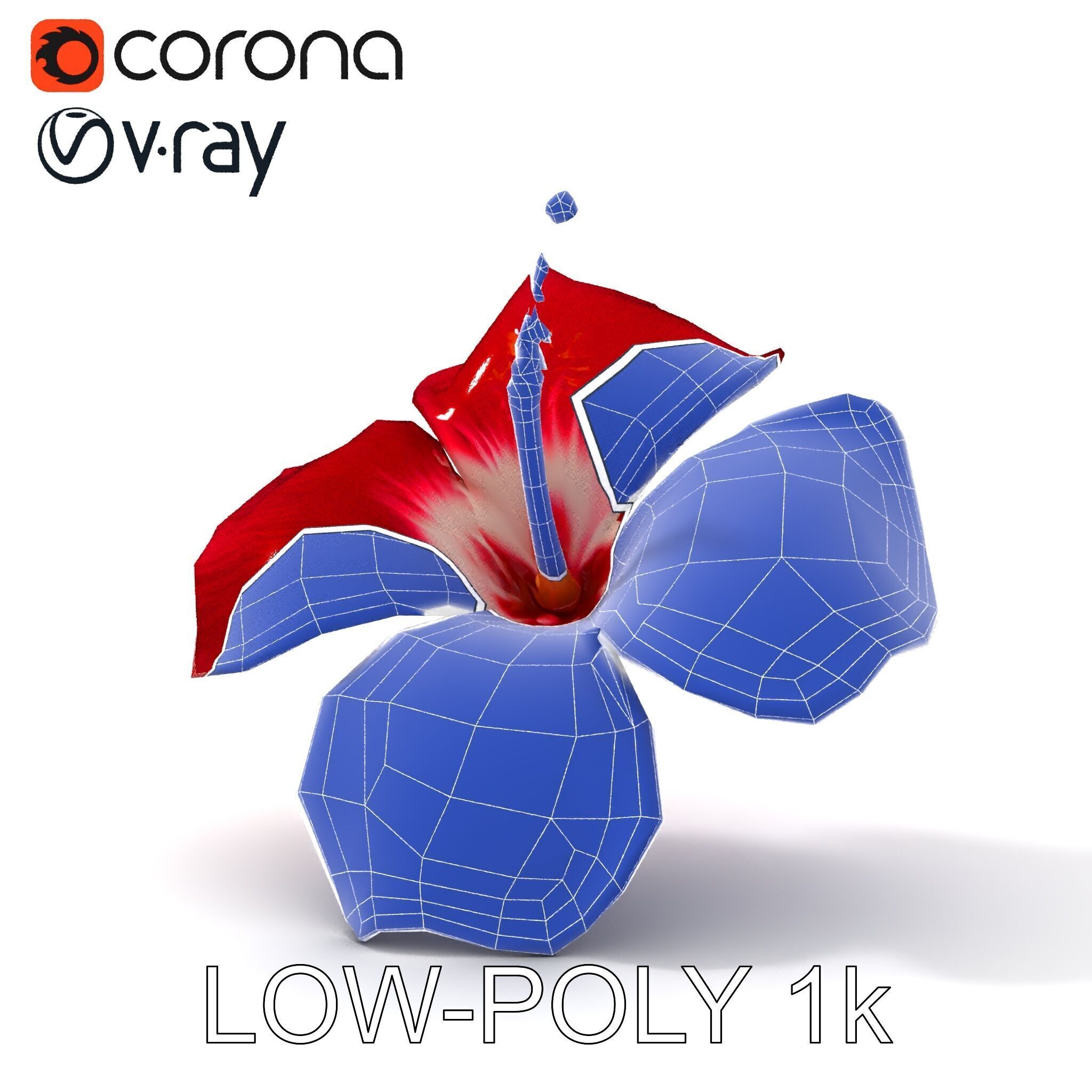 Realistic Hibiscus Flower D Model Pack Low-poly 3D model_23