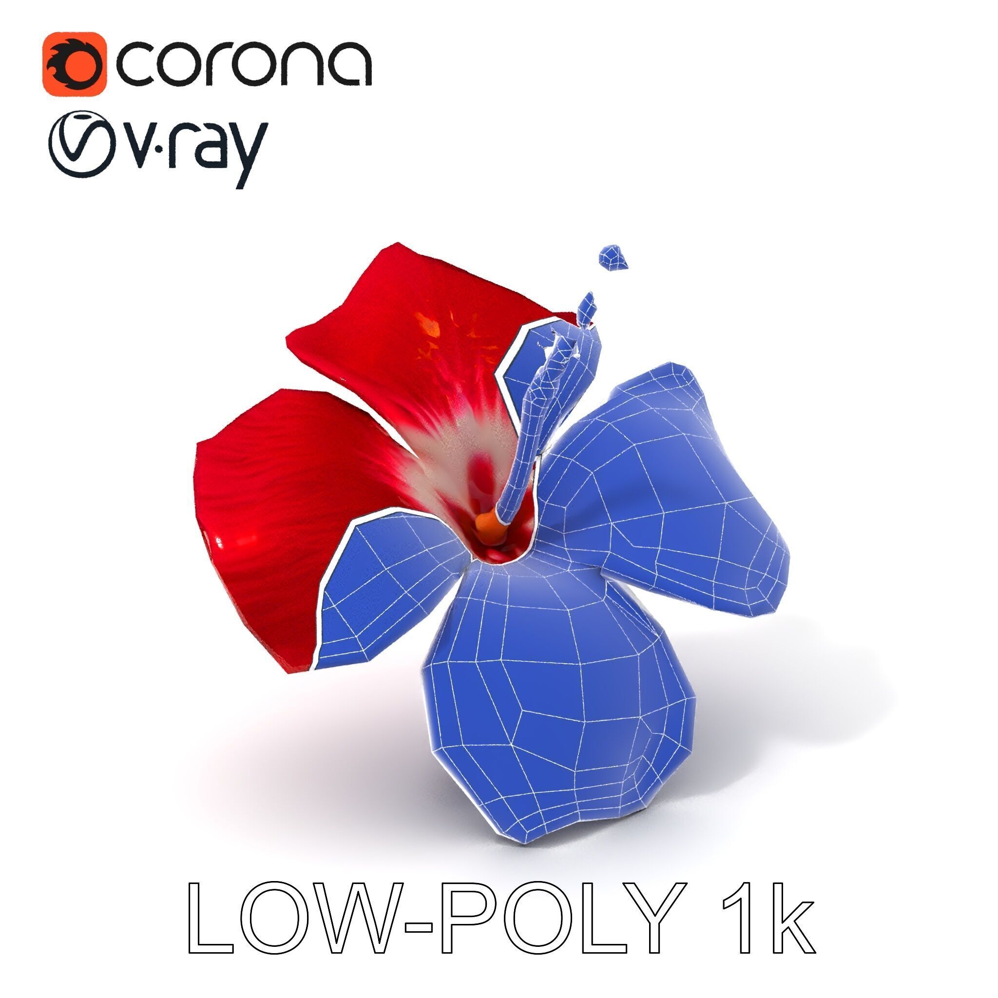 Realistic Hibiscus Flower D Model Pack Low-poly 3D model_18
