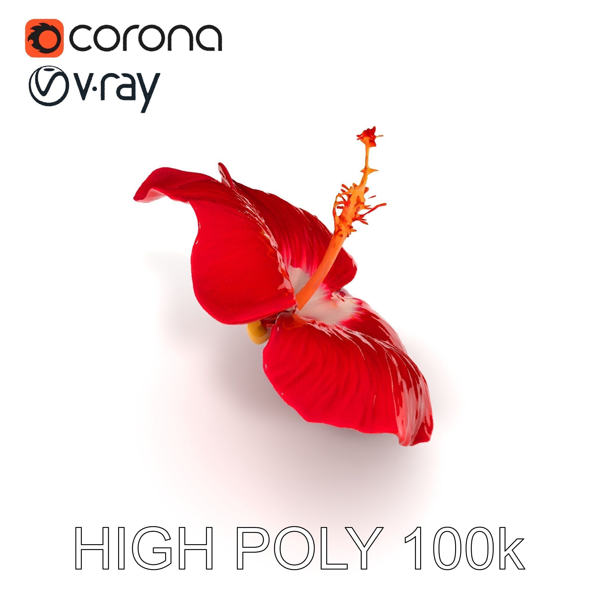 Realistic Hibiscus Flower D Model Pack Low-poly 3D model_10