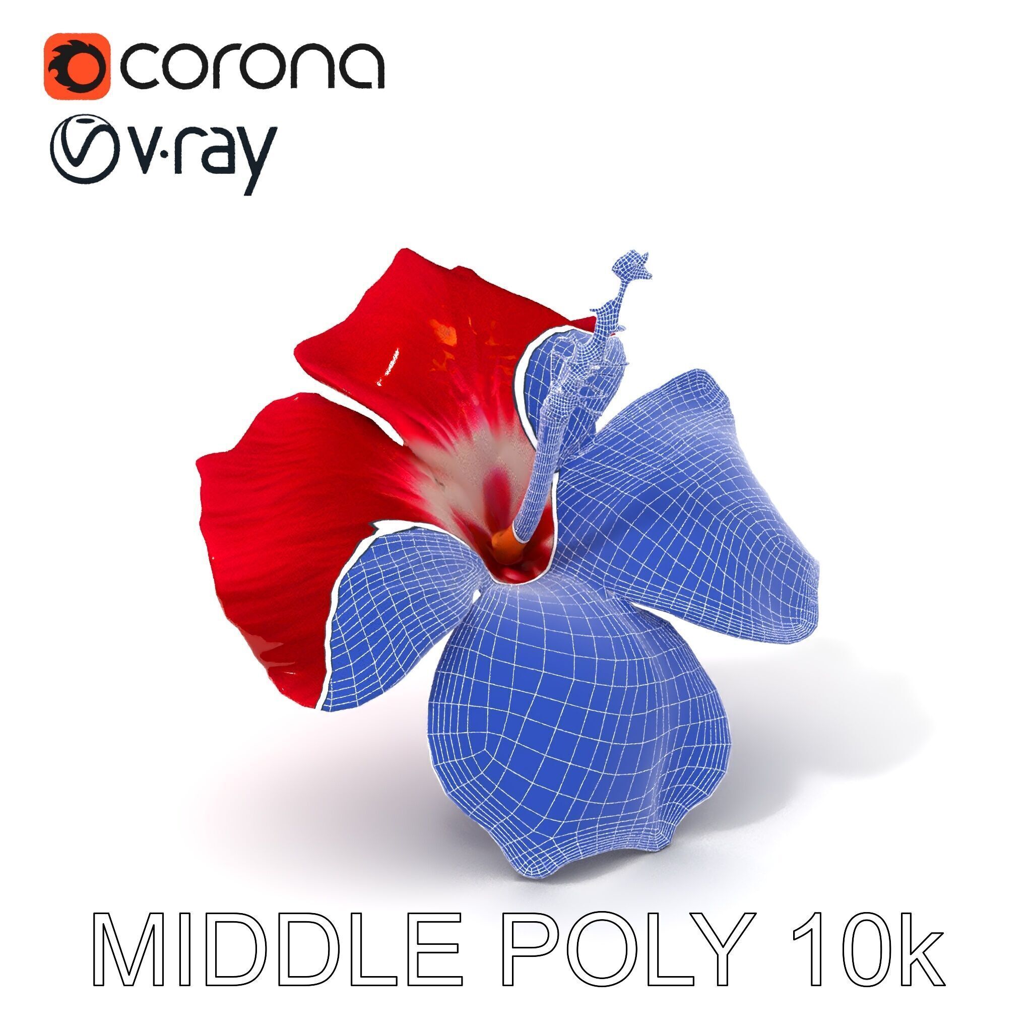 Realistic Hibiscus Flower D Model Pack Low-poly 3D model_11