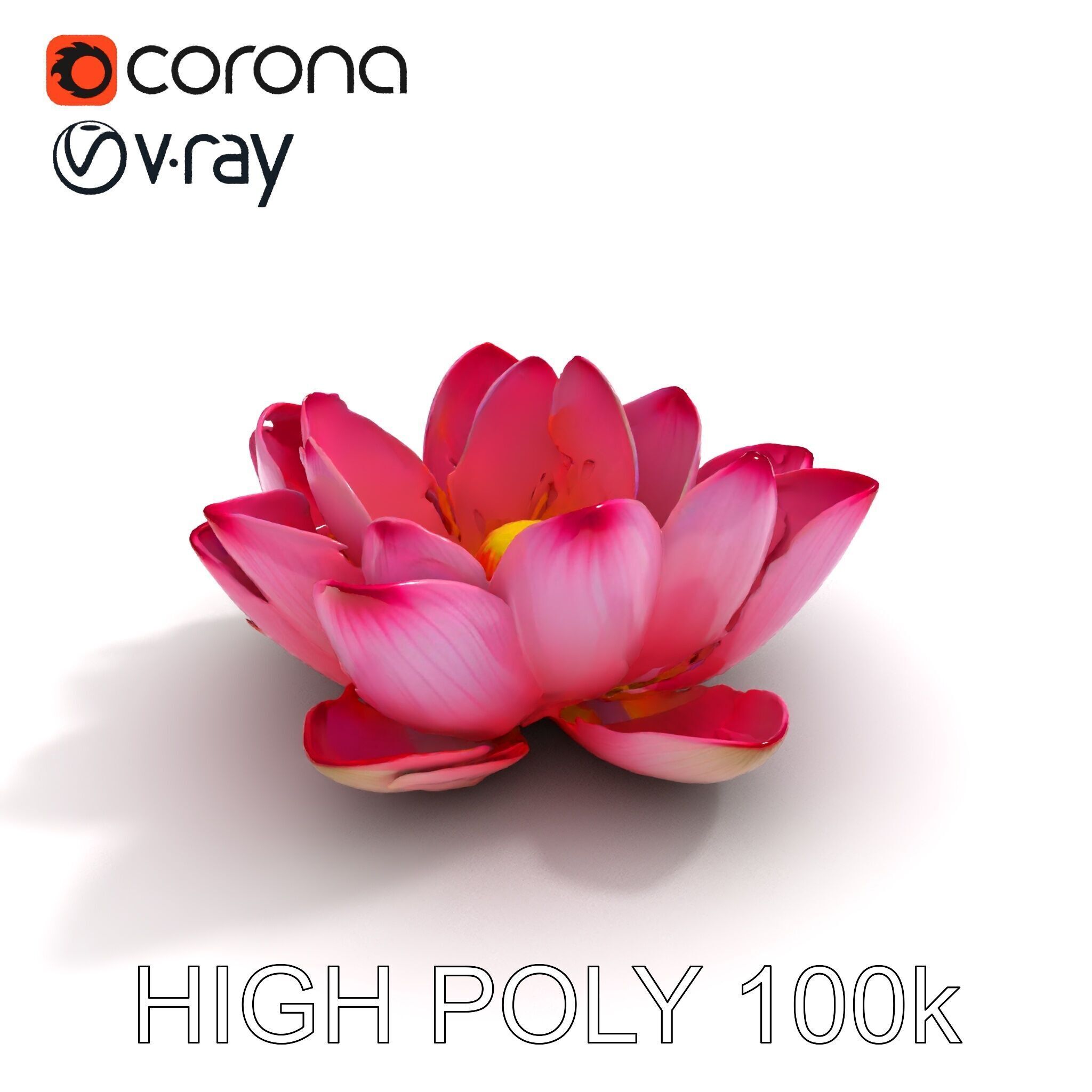 Lotus Flower Model Pack  Detailed Botanical Collection Low-poly 3D model_11
