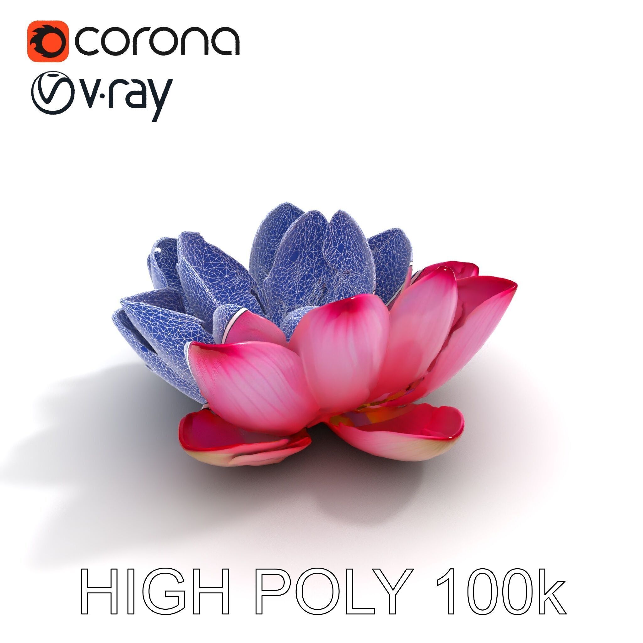 Lotus Flower Model Pack  Detailed Botanical Collection Low-poly 3D model_32
