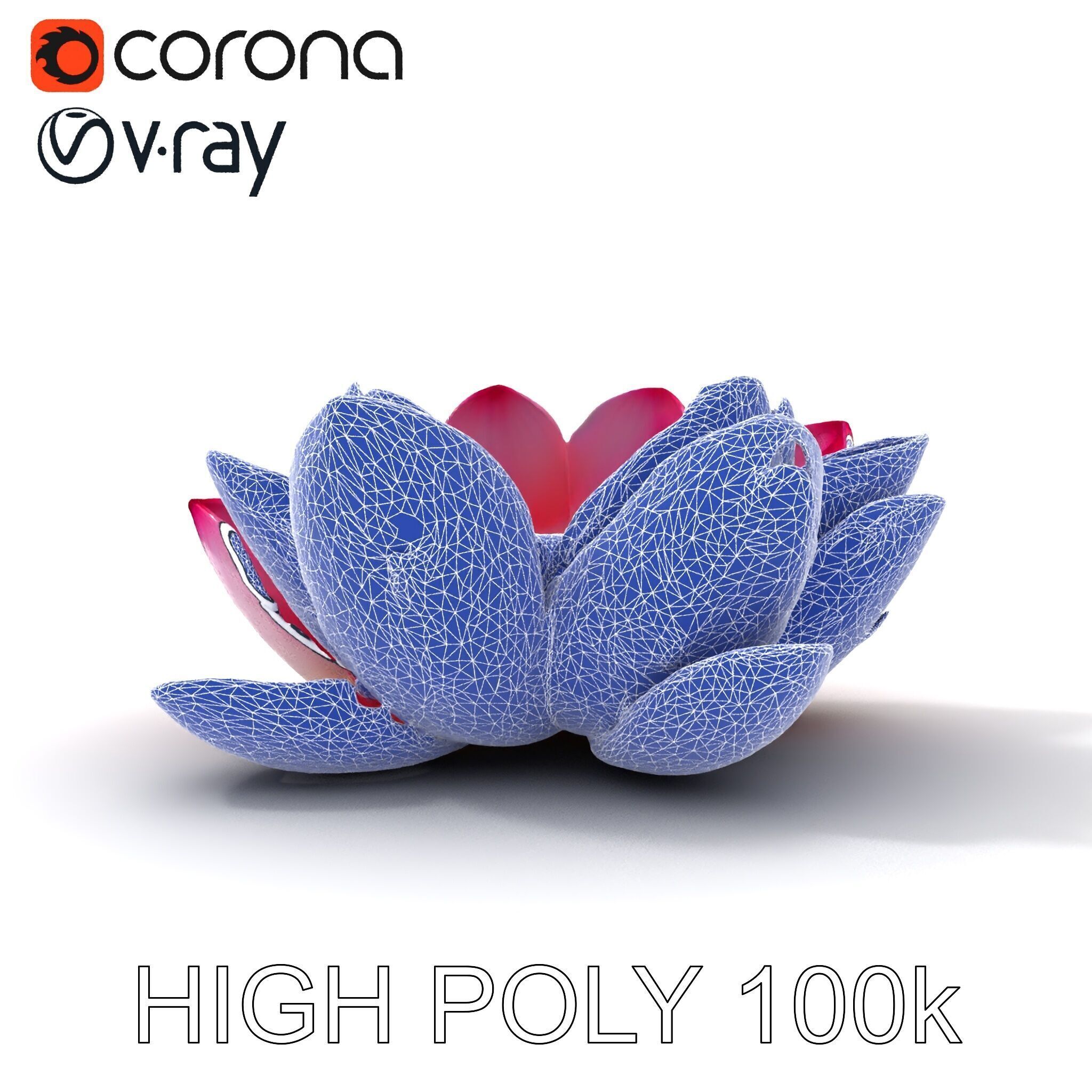 Lotus Flower Model Pack  Detailed Botanical Collection Low-poly 3D model_35