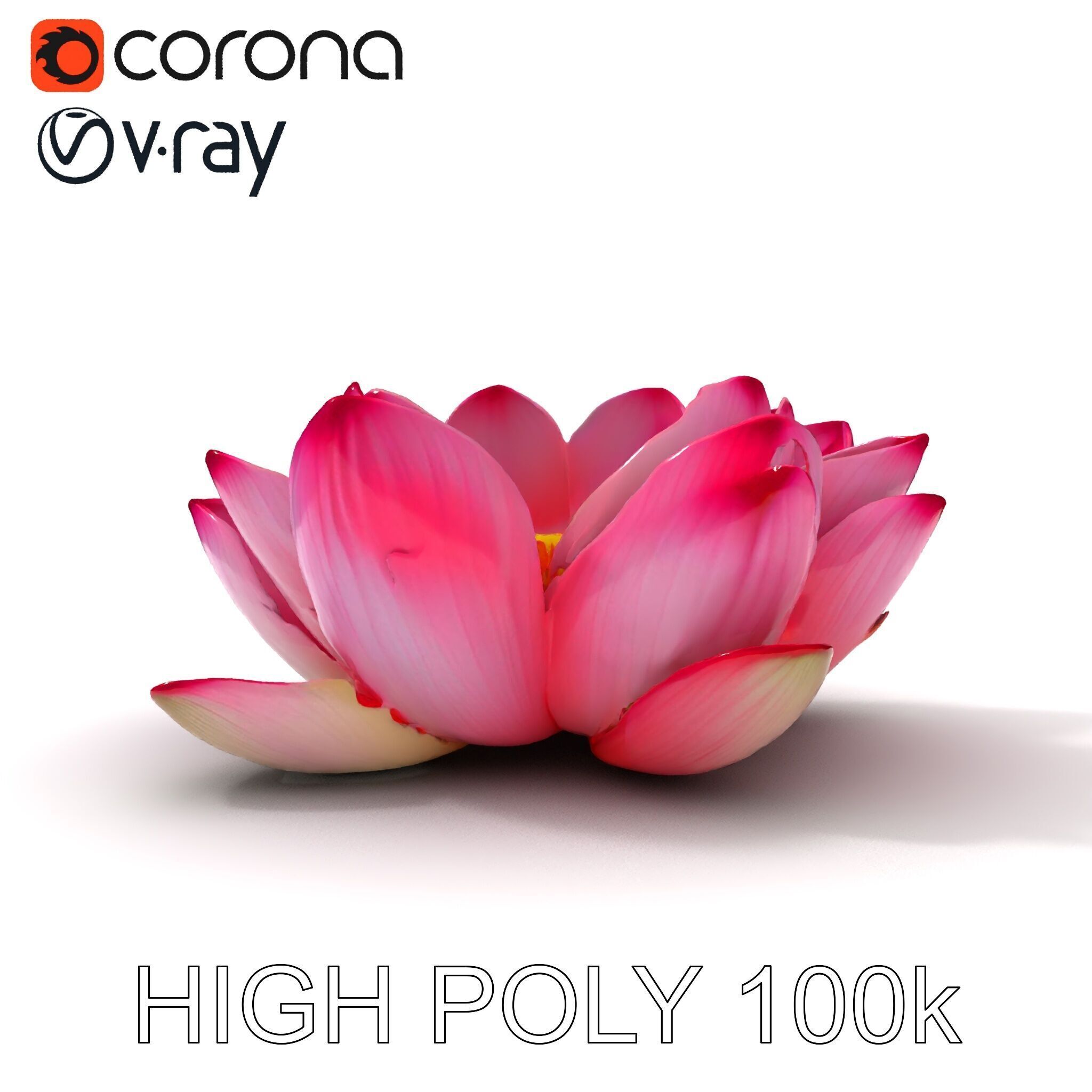 Lotus Flower Model Pack  Detailed Botanical Collection Low-poly 3D model_29