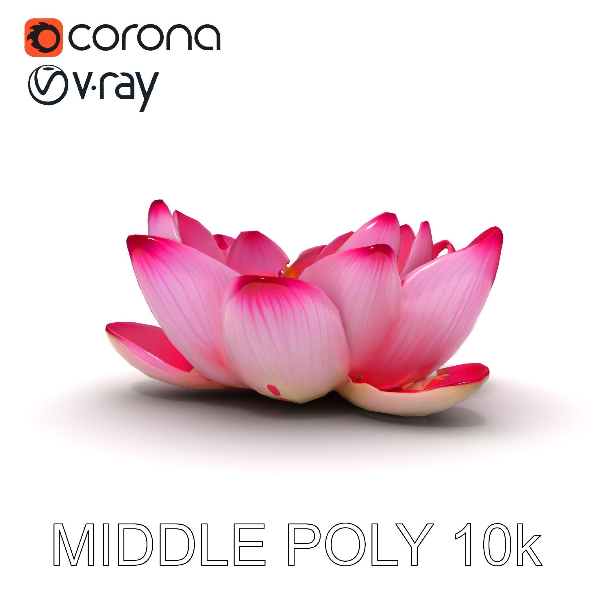 Lotus Flower Model Pack  Detailed Botanical Collection Low-poly 3D model_14