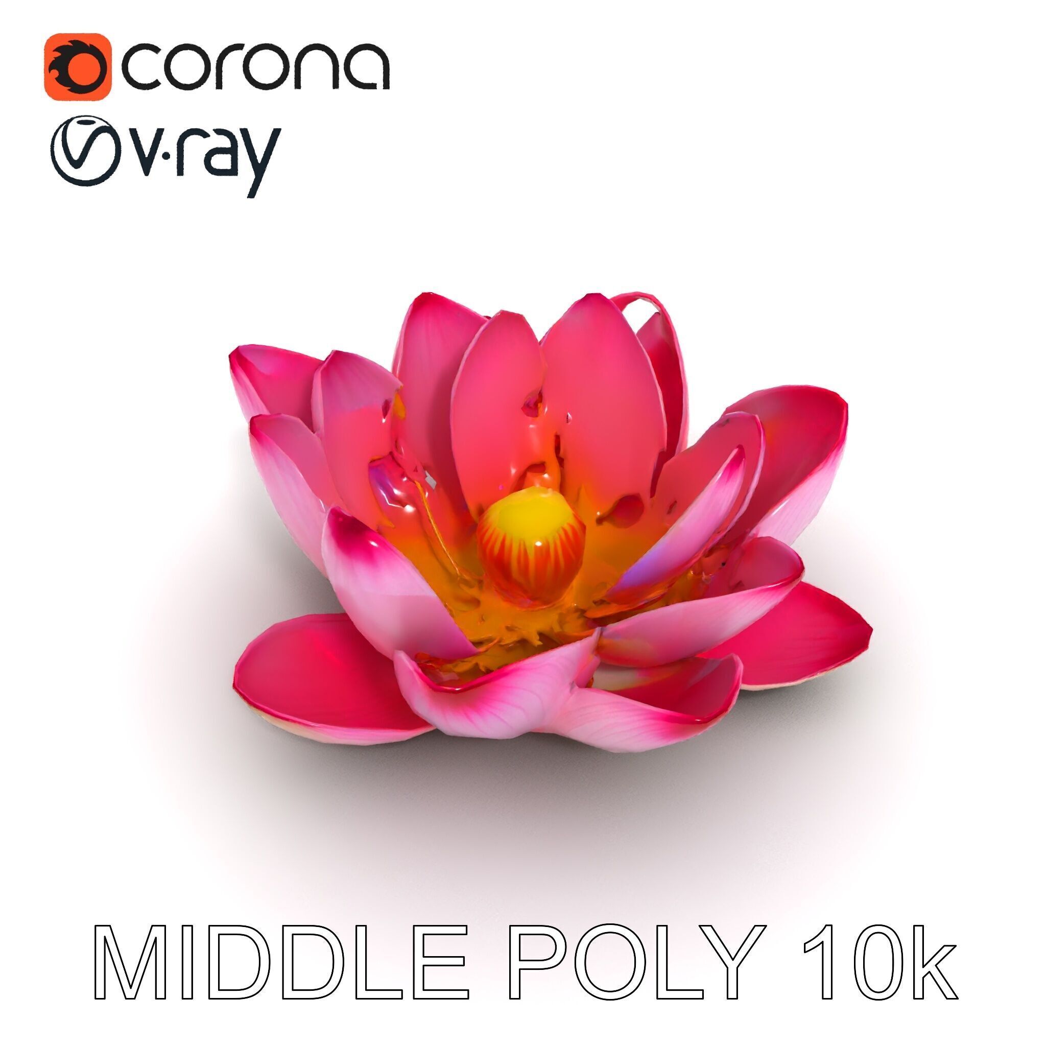 Lotus Flower Model Pack  Detailed Botanical Collection Low-poly 3D model_30