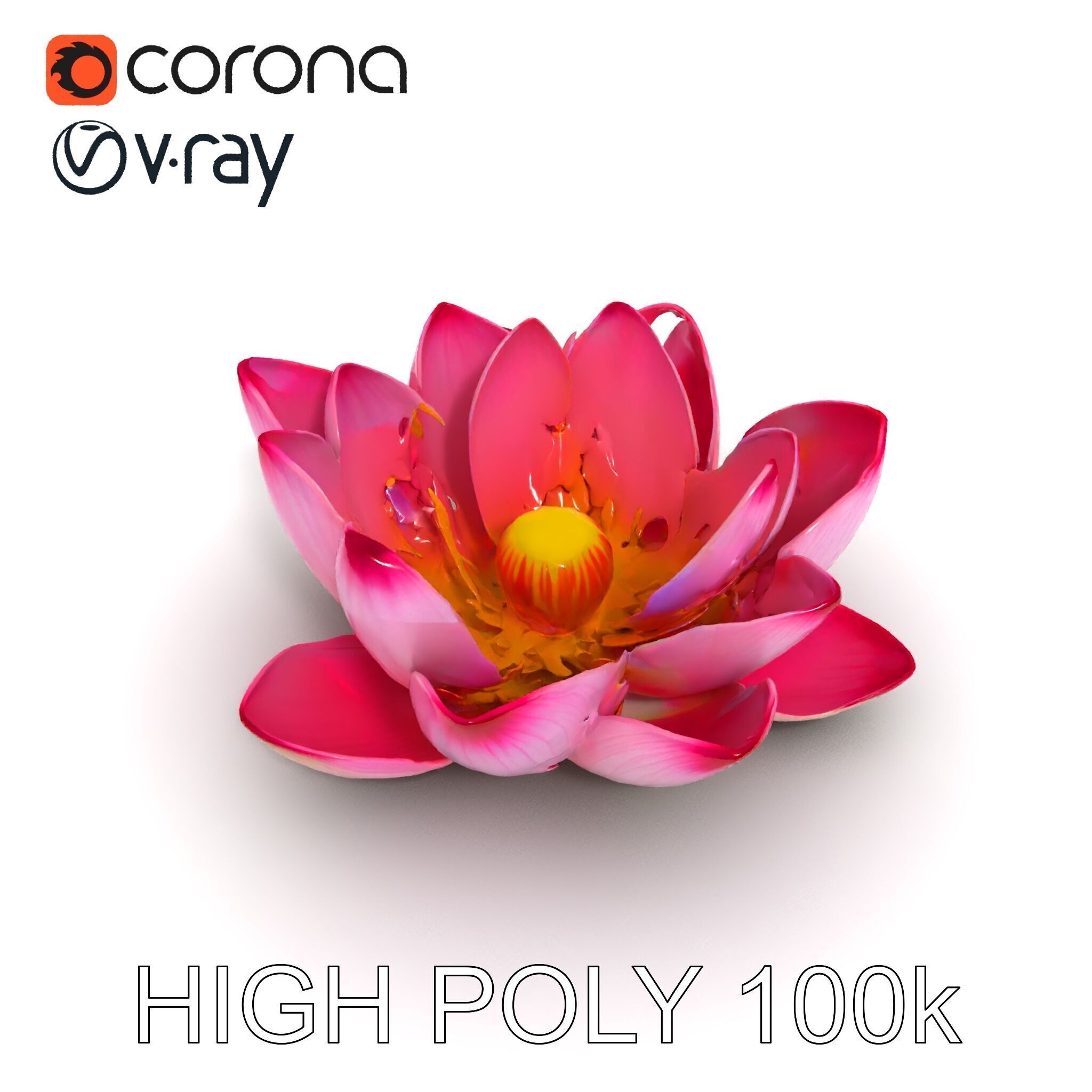 Lotus Flower Model Pack  Detailed Botanical Collection Low-poly 3D model_8
