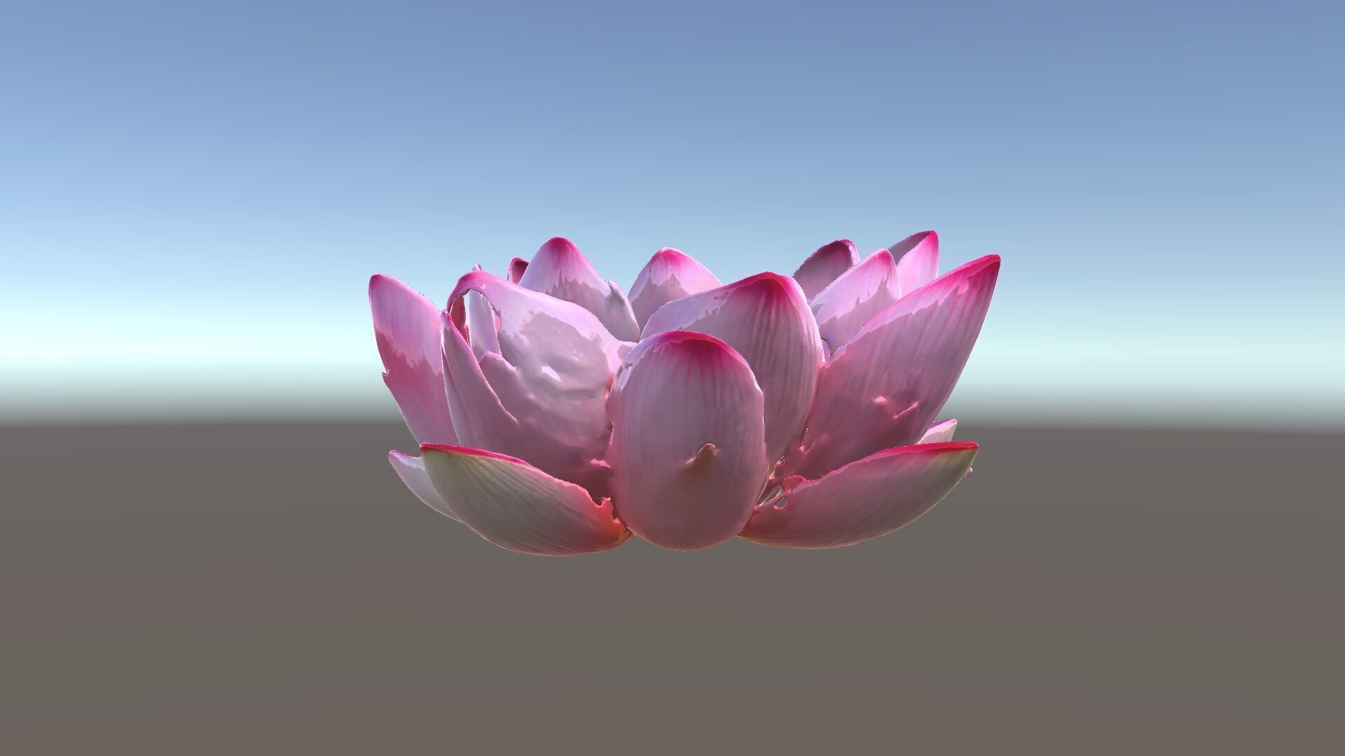 Lotus Flower Model Pack  Detailed Botanical Collection Low-poly 3D model_5