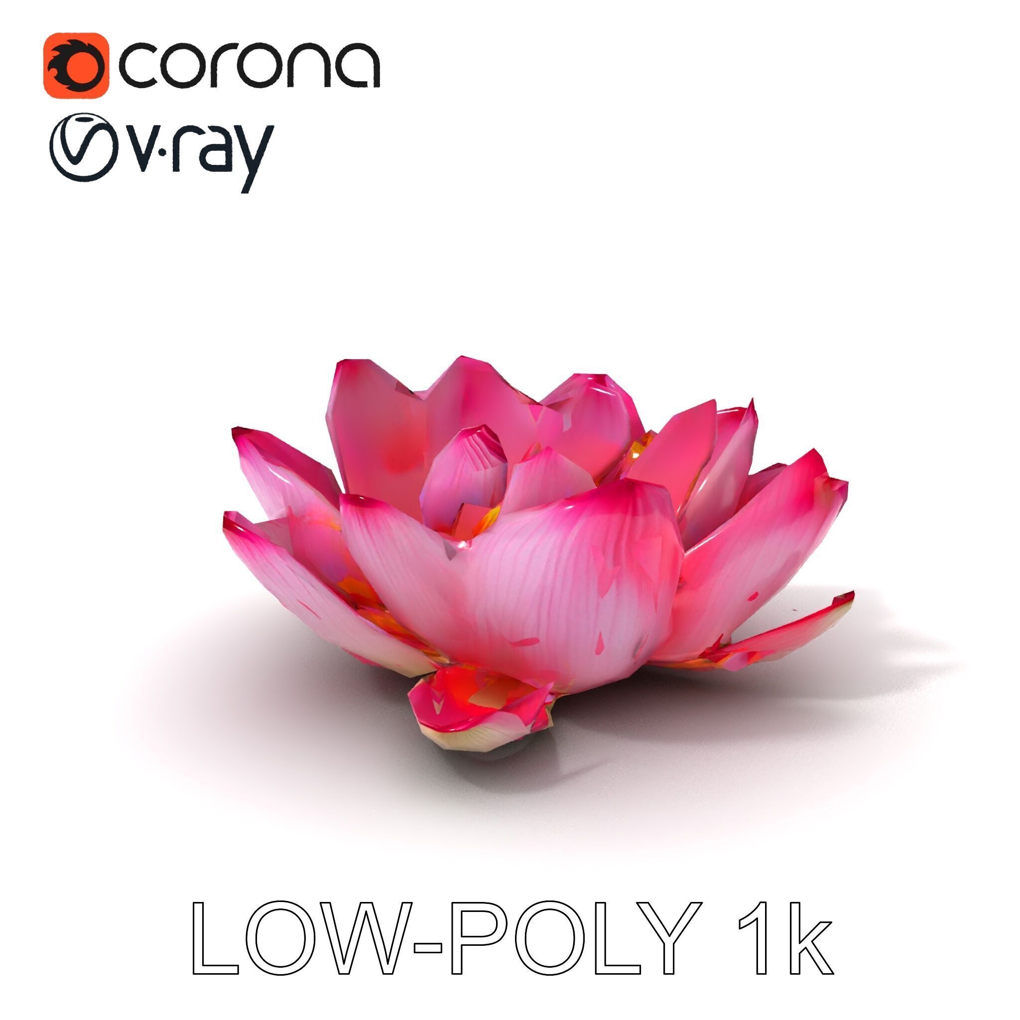 Lotus Flower Model Pack  Detailed Botanical Collection Low-poly 3D model_7
