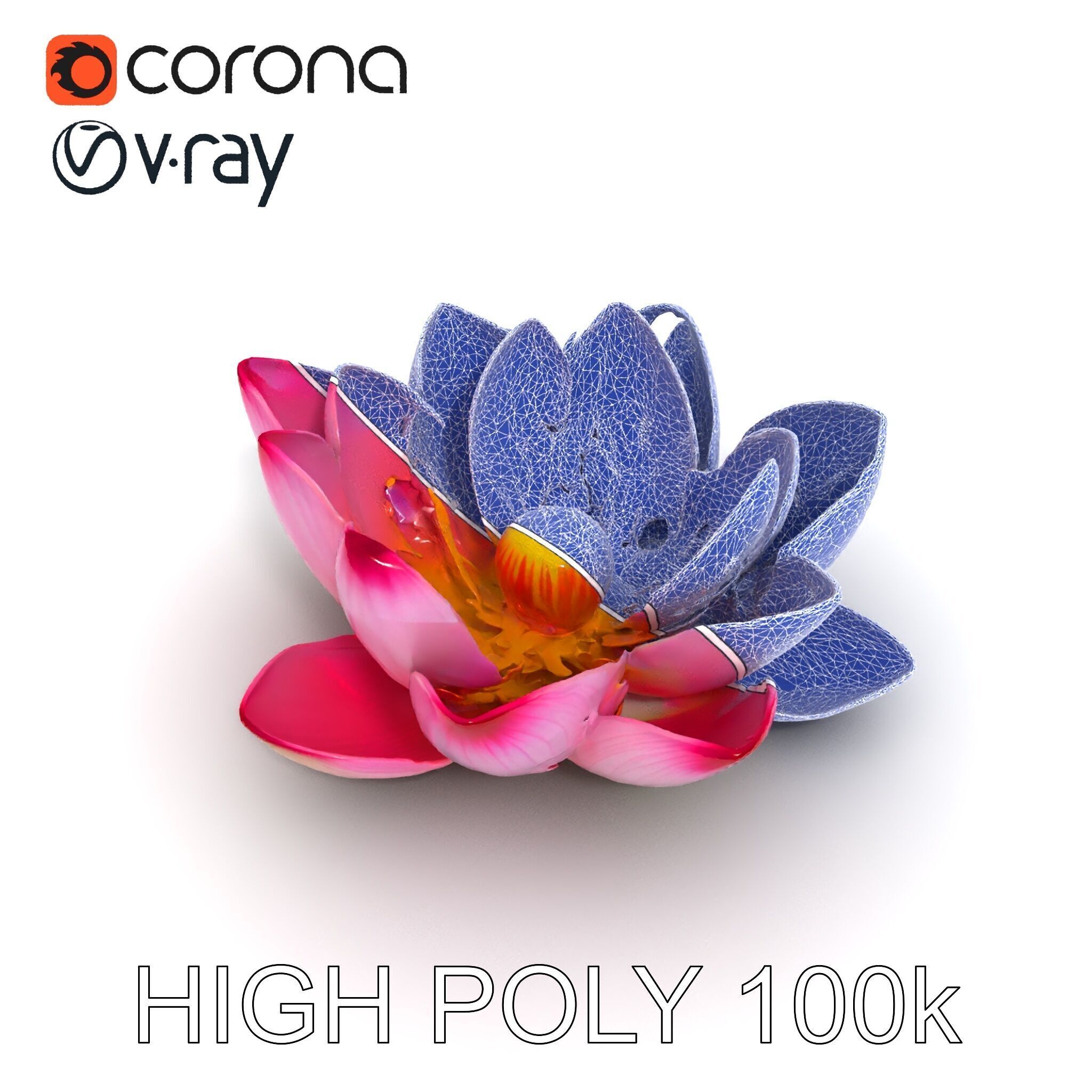 Lotus Flower Model Pack  Detailed Botanical Collection Low-poly 3D model_21