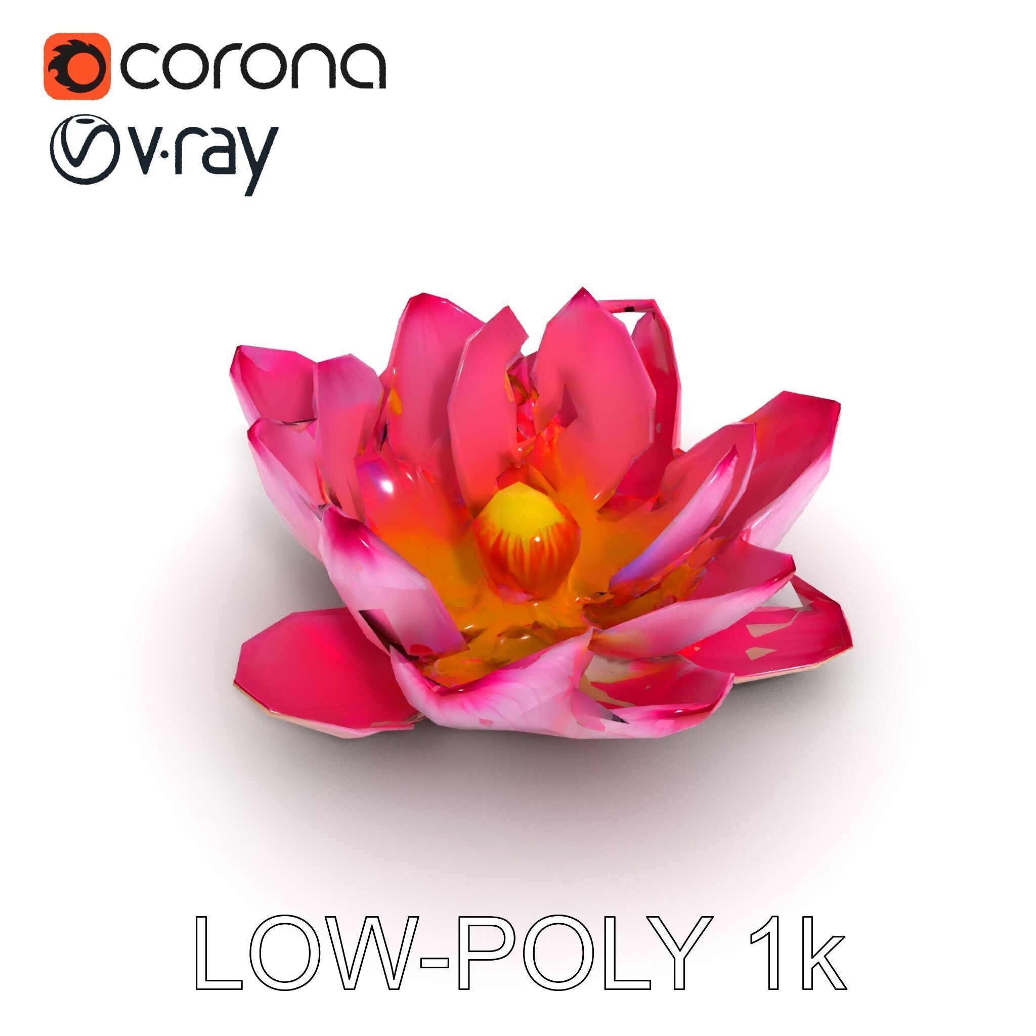 Lotus Flower Model Pack  Detailed Botanical Collection Low-poly 3D model_13