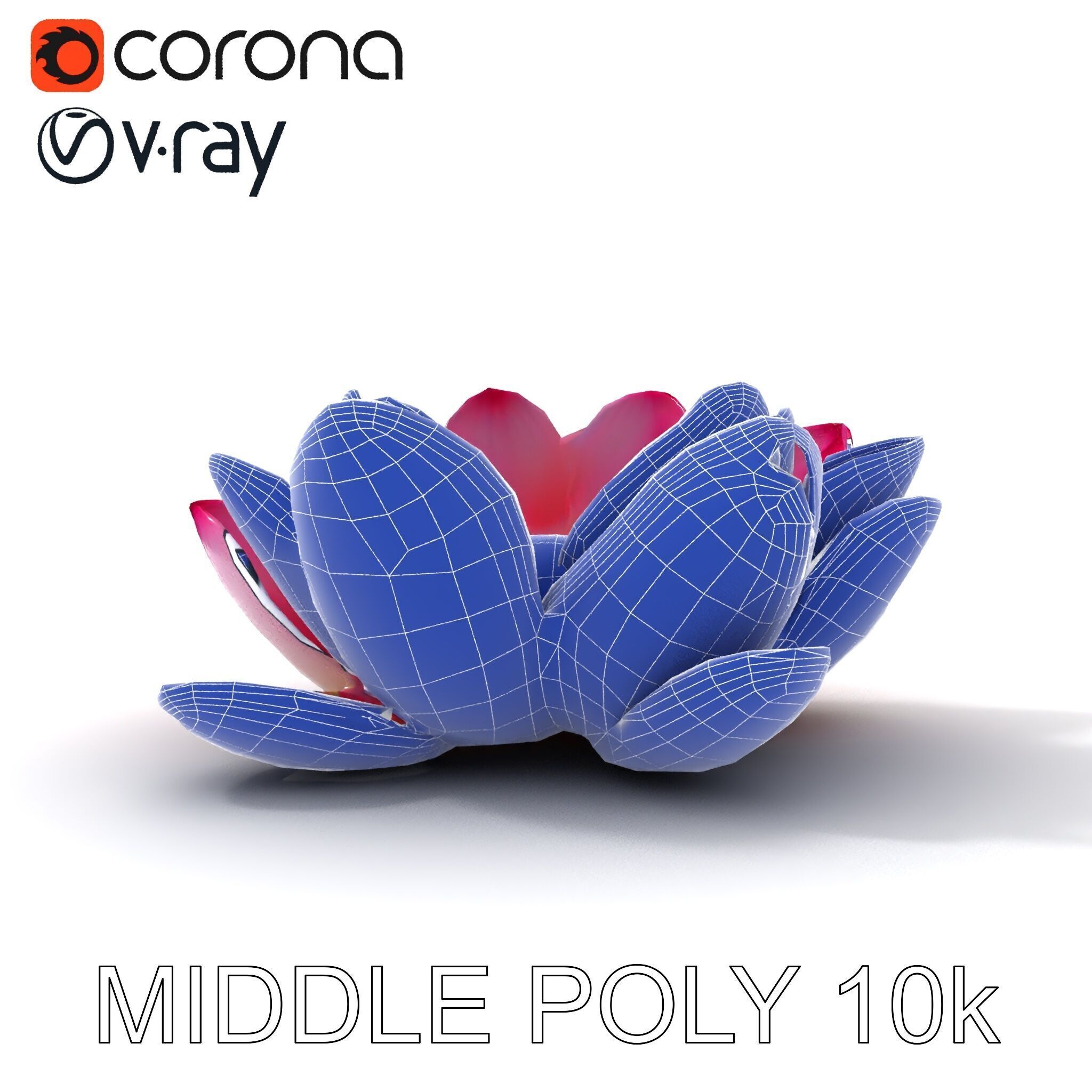 Lotus Flower Model Pack  Detailed Botanical Collection Low-poly 3D model_27