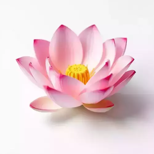 Lotus Flower Model Pack  Detailed Botanical Collection Low-poly 3D model