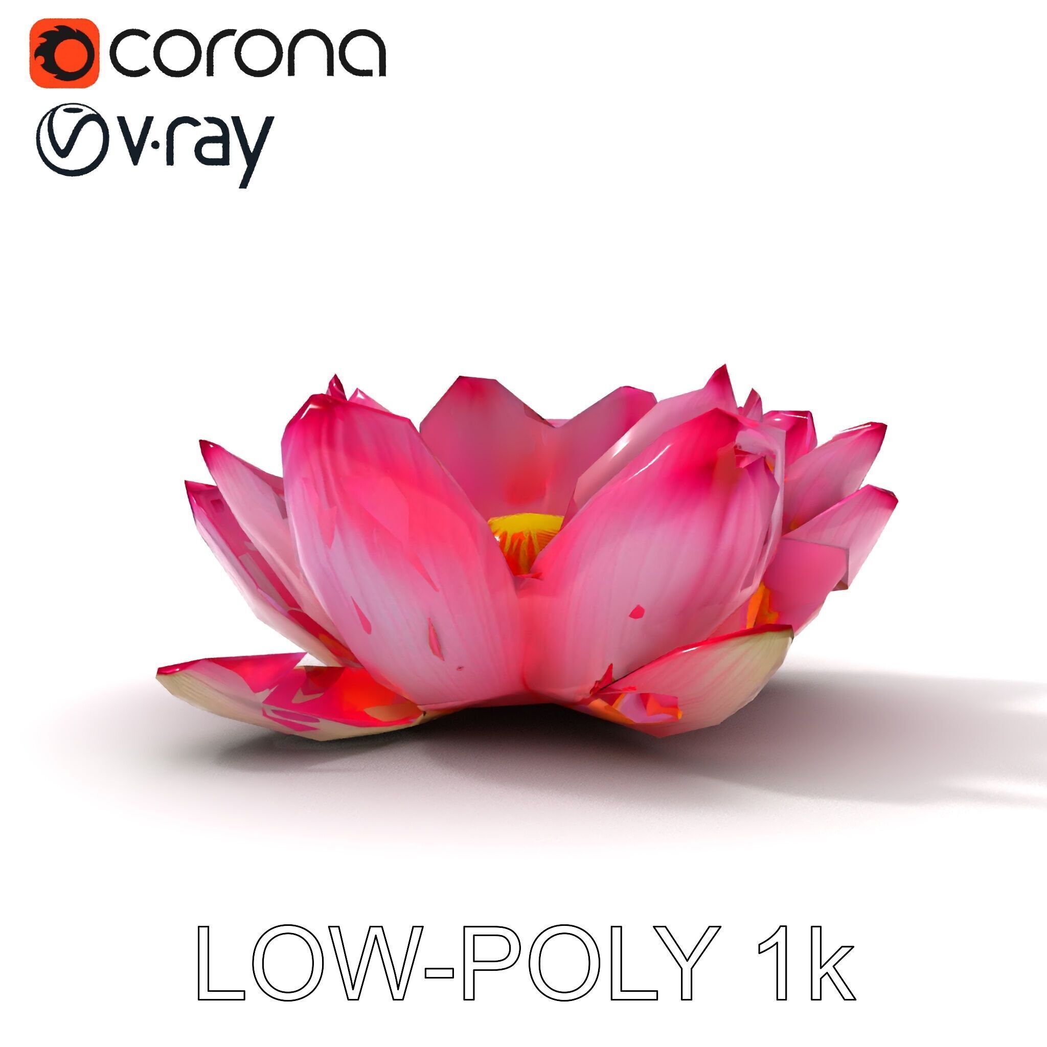 Lotus Flower Model Pack  Detailed Botanical Collection Low-poly 3D model_23