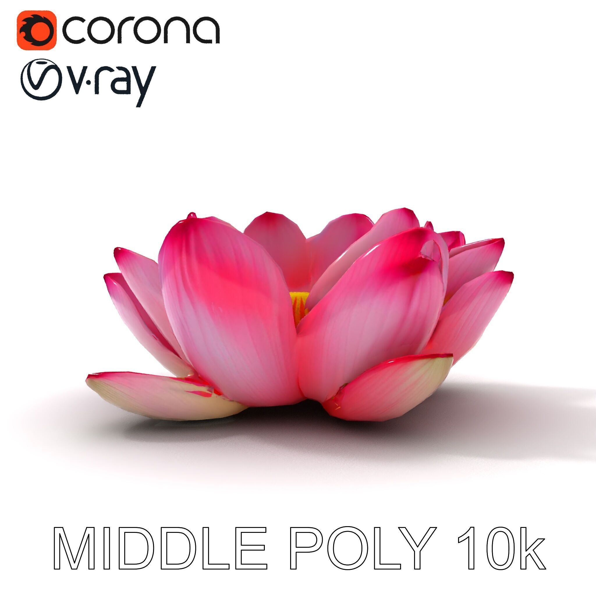 Lotus Flower Model Pack  Detailed Botanical Collection Low-poly 3D model_24