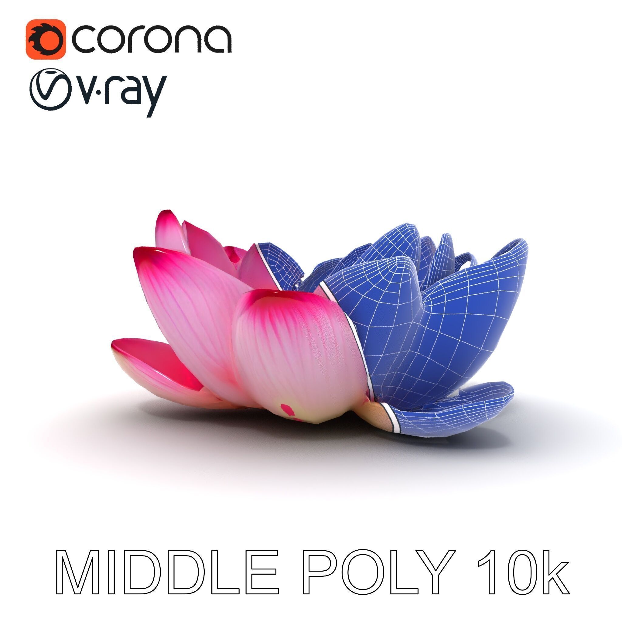 Lotus Flower Model Pack  Detailed Botanical Collection Low-poly 3D model_6