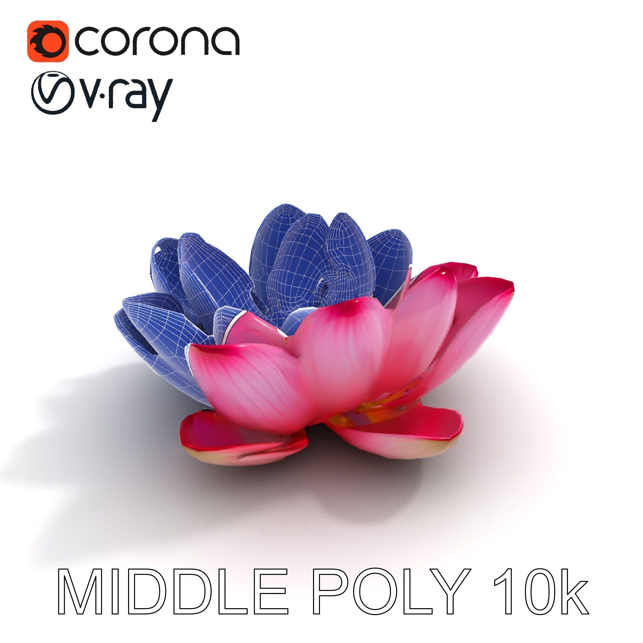 Lotus Flower Model Pack  Detailed Botanical Collection Low-poly 3D model_9