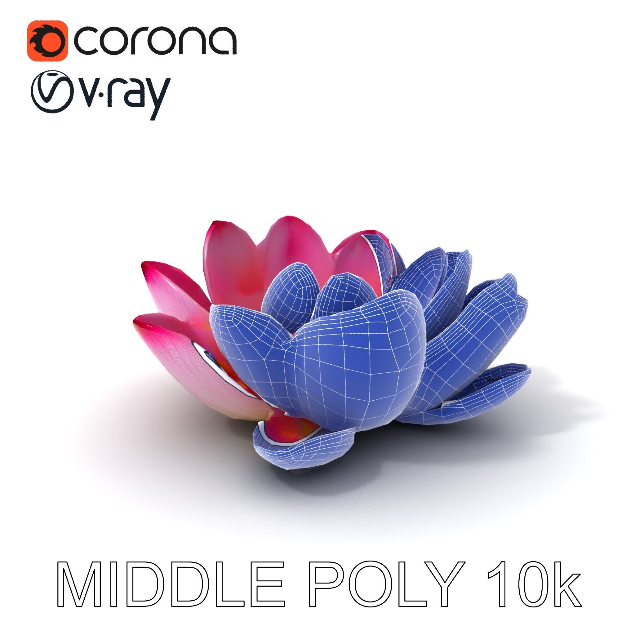 Lotus Flower Model Pack  Detailed Botanical Collection Low-poly 3D model_33