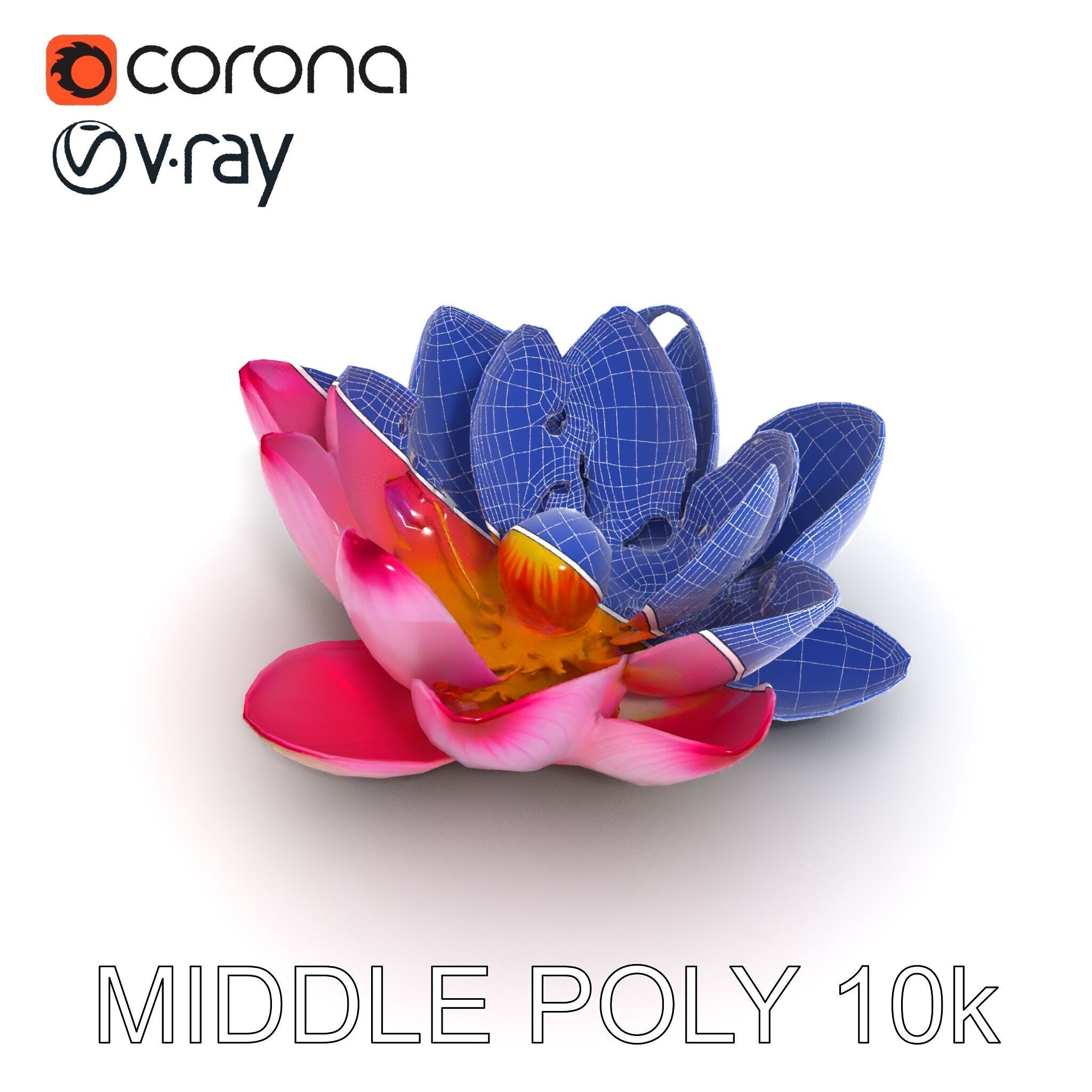Lotus Flower Model Pack  Detailed Botanical Collection Low-poly 3D model_19